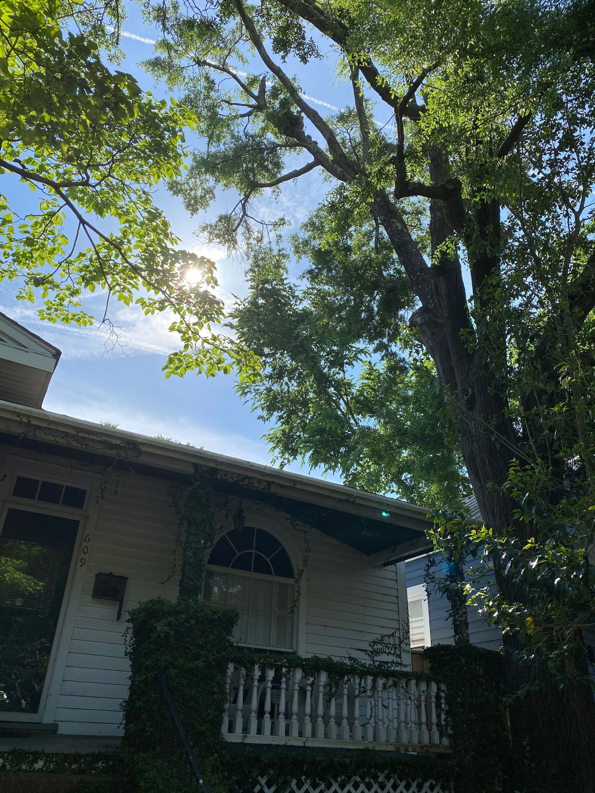 A house with a tree in front of it and the sun shining through the trees