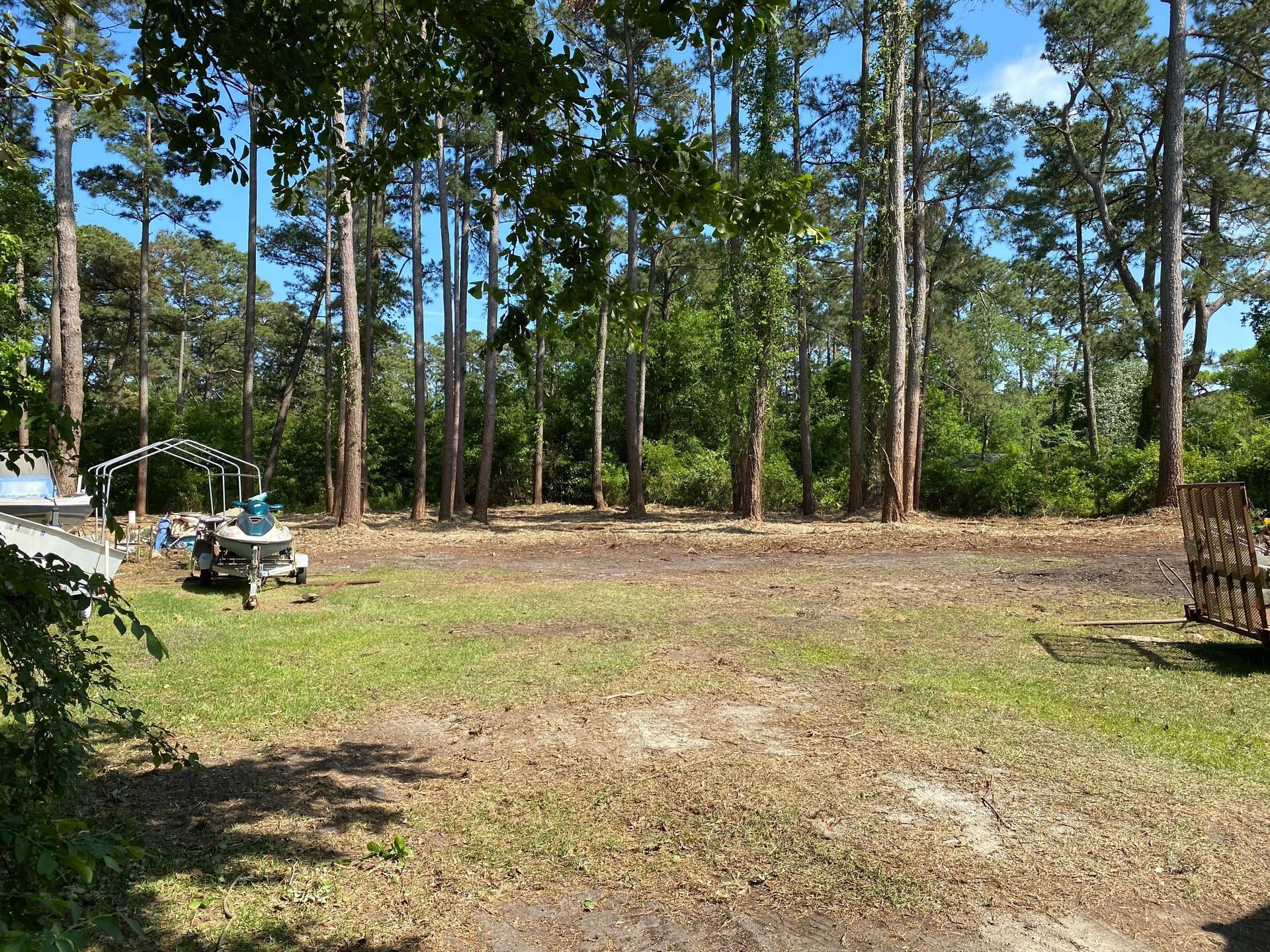 A large grassy field surrounded by trees on a sunny day.