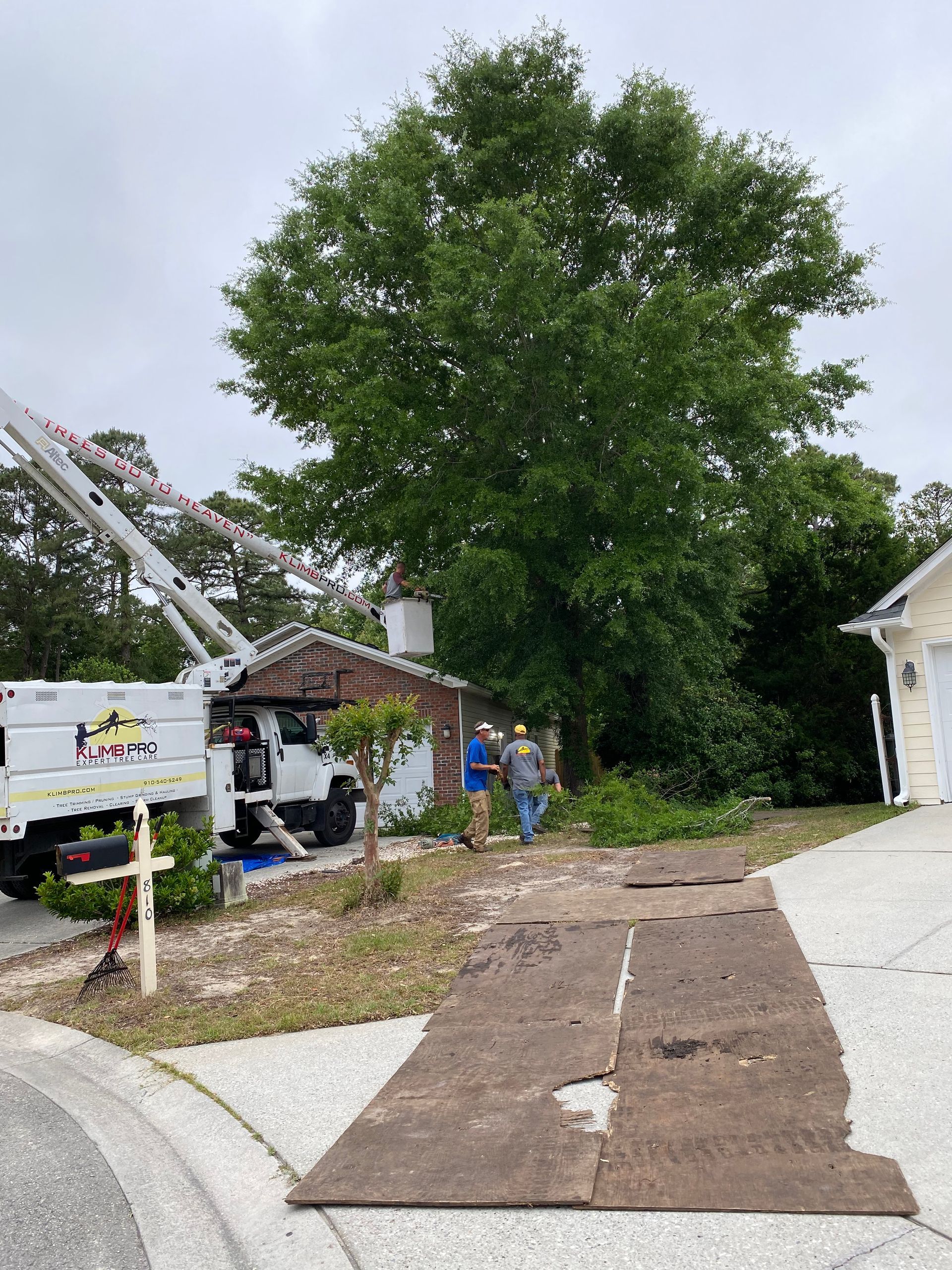 A tree cutting truck is parked in front of a house.