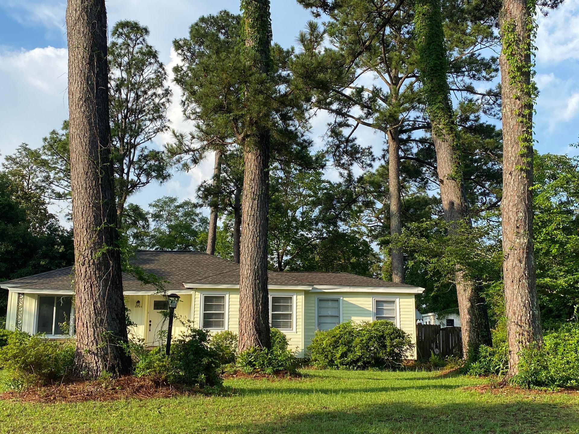 A house with a lot of trees in front of it