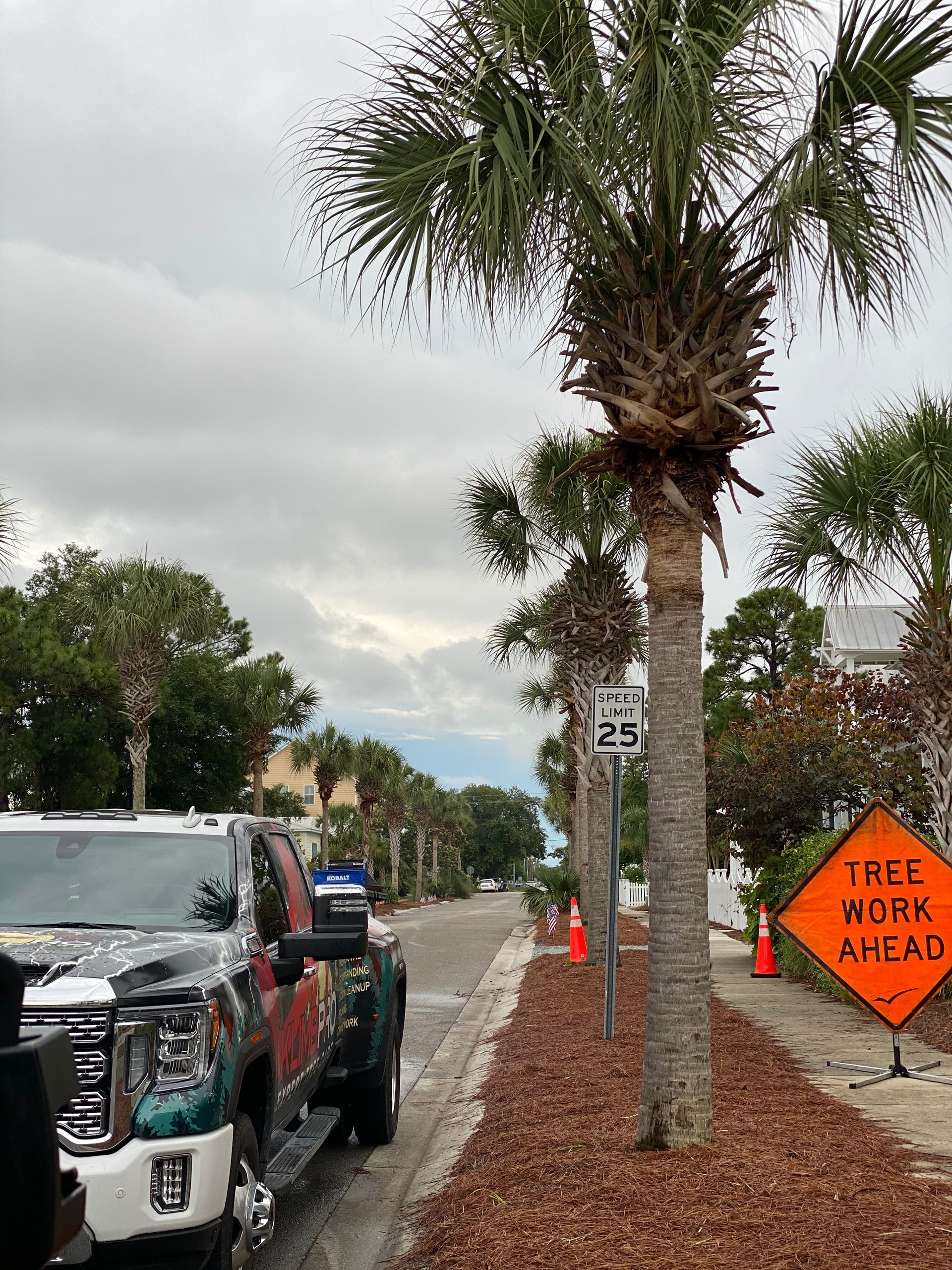 A truck is parked on the side of the road next to a palm tree.