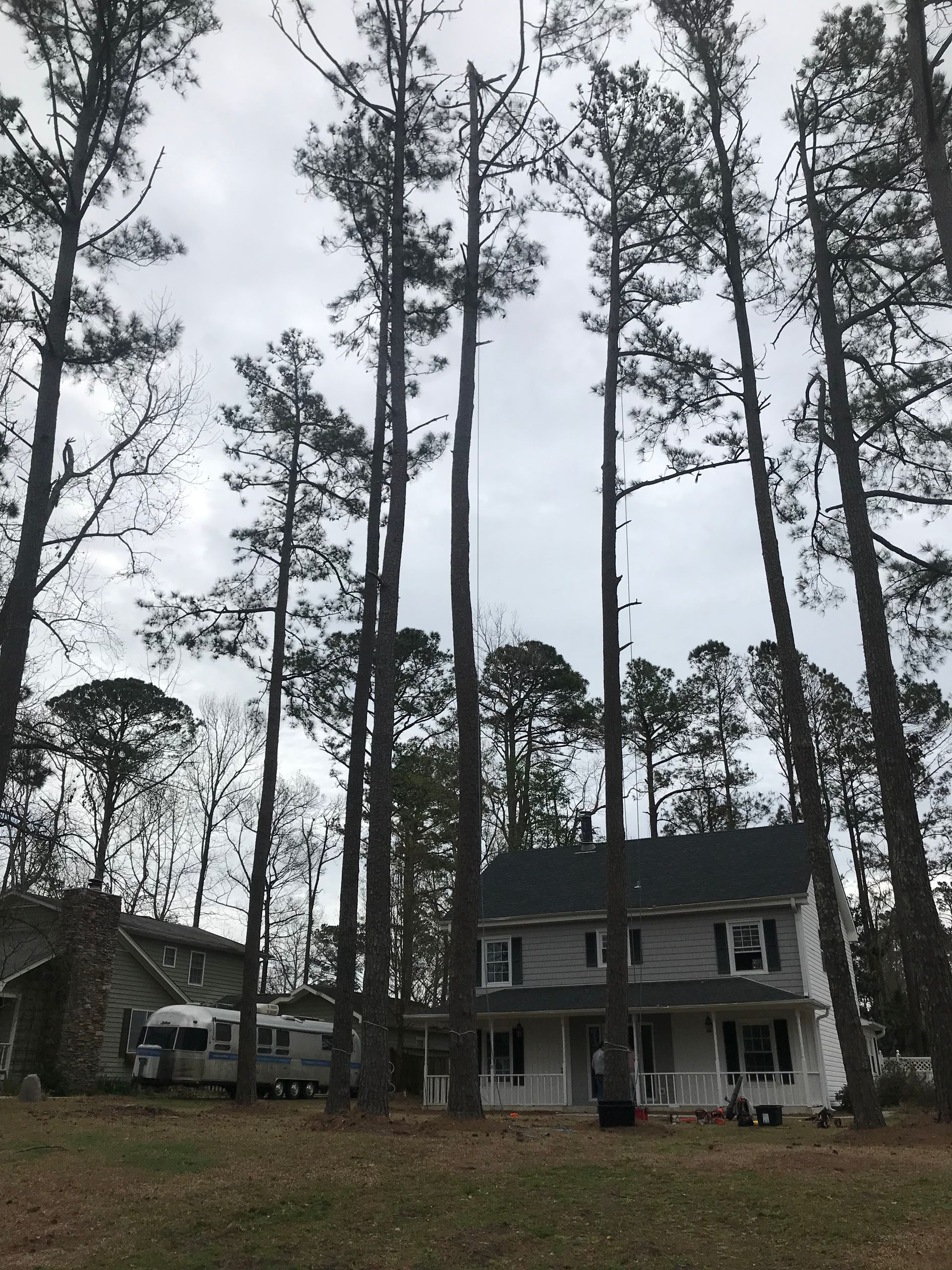 A house with a lot of trees in front of it