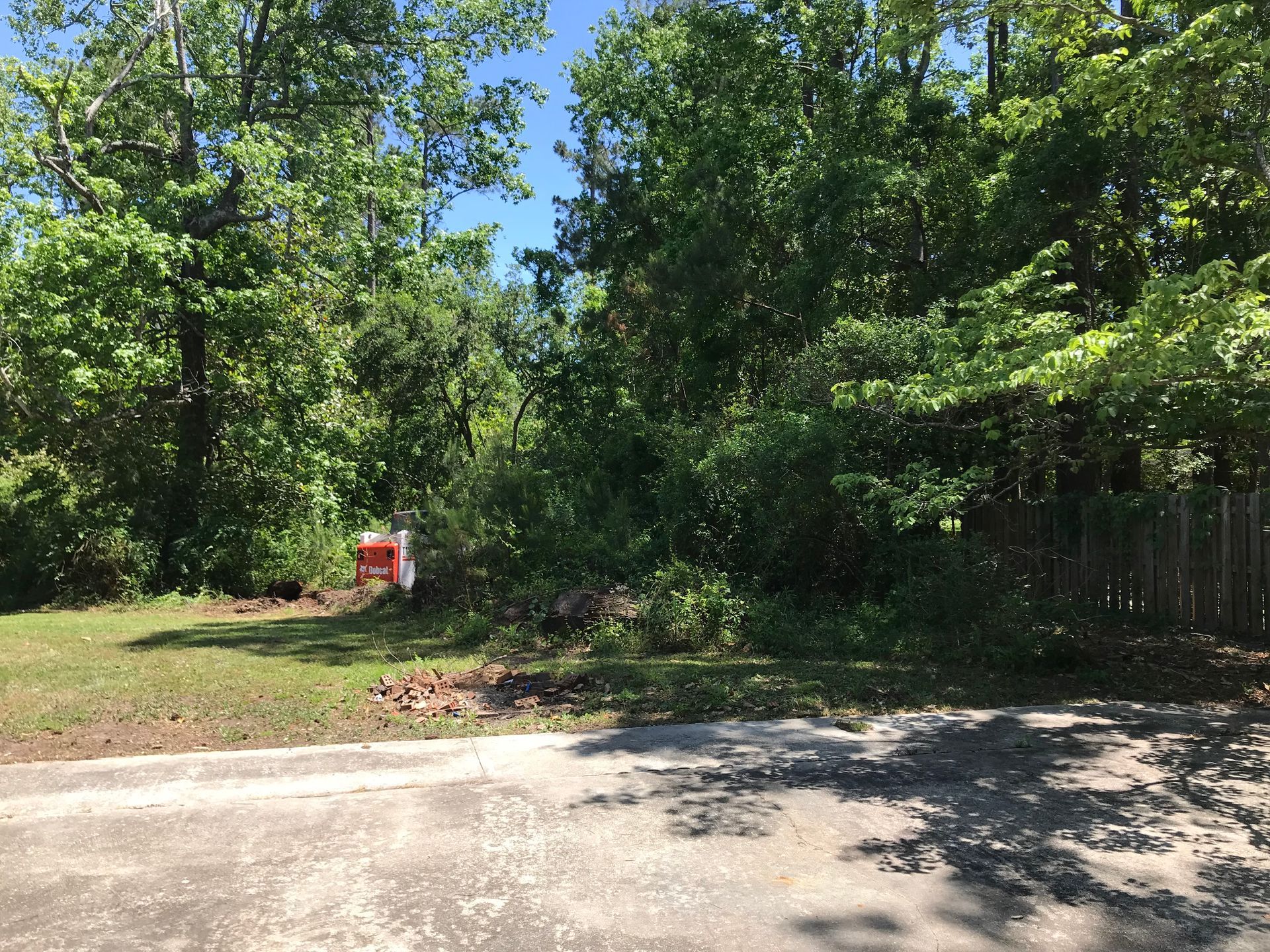 There is a lot of trees on the side of the road.