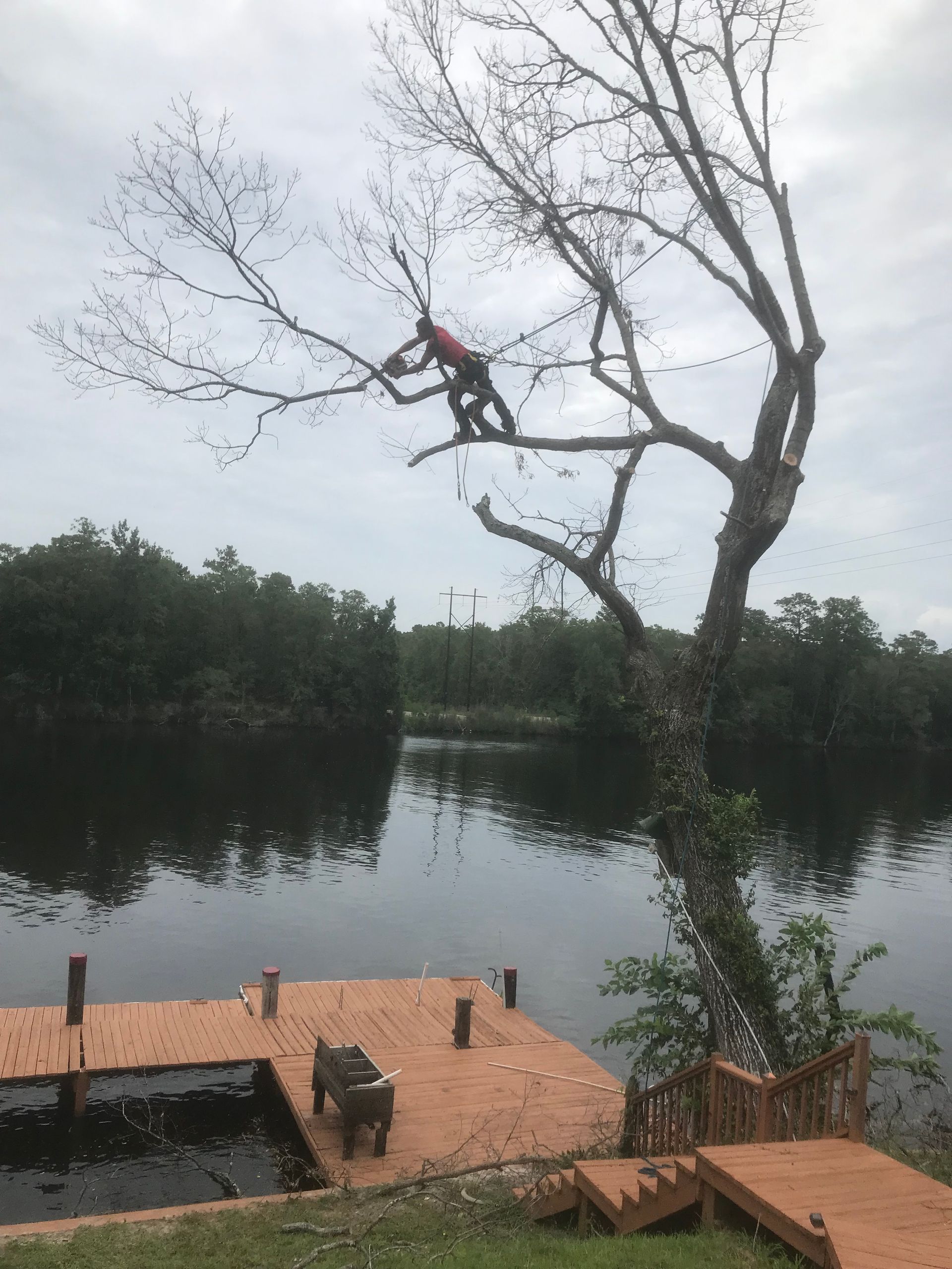 A man is climbing a tree over a dock next to a lake.
