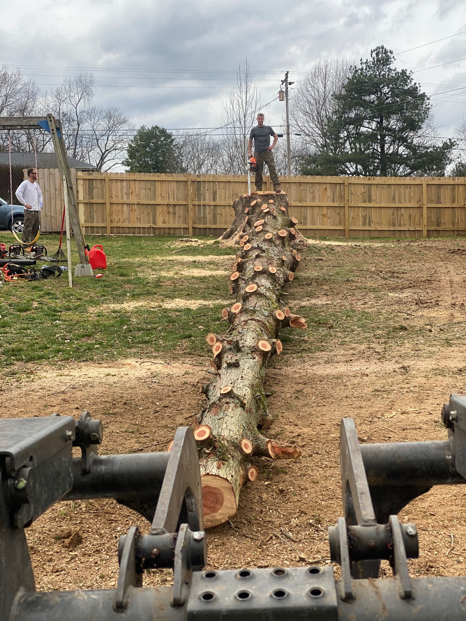 A man is standing on top of a large log in a yard.