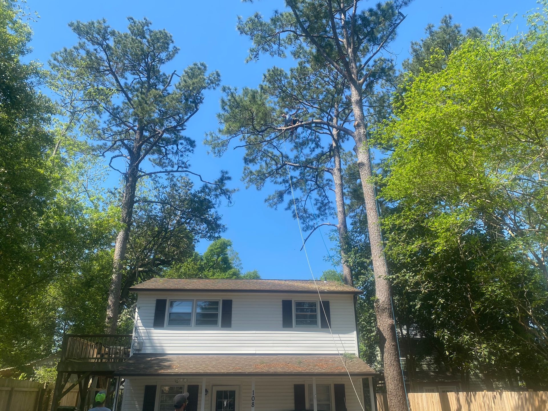 A house with a lot of trees in front of it