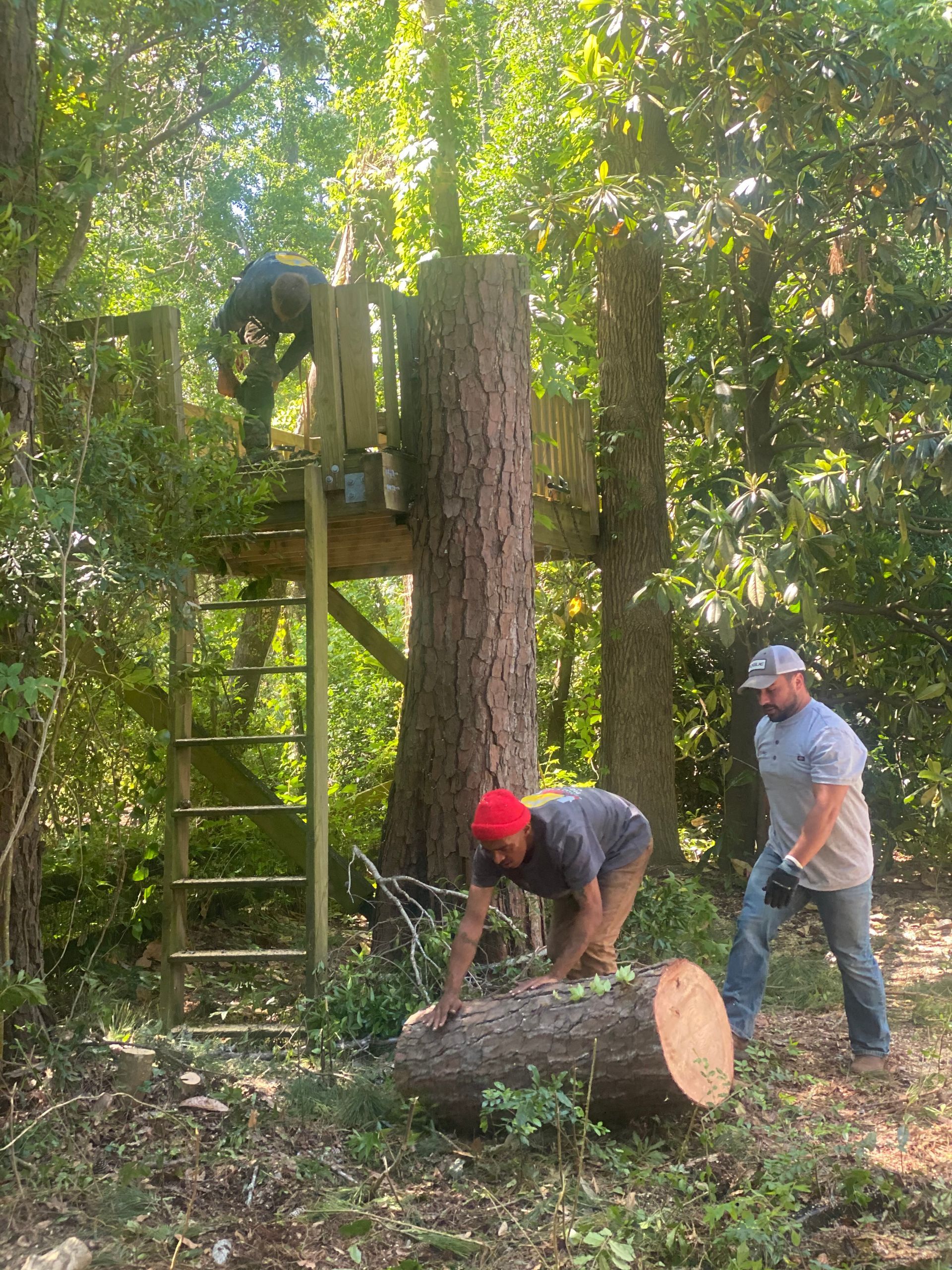A group of men are working on a tree house in the woods.