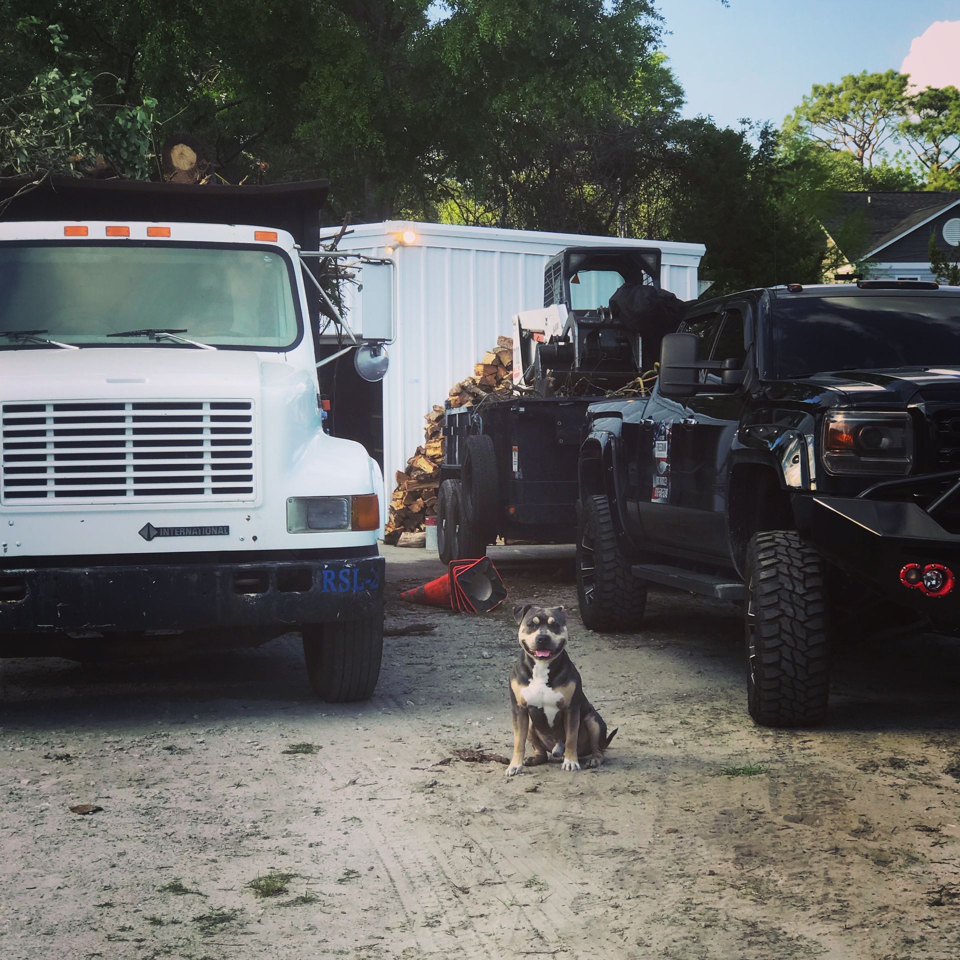 A black and white dog sits in front of a dump truck