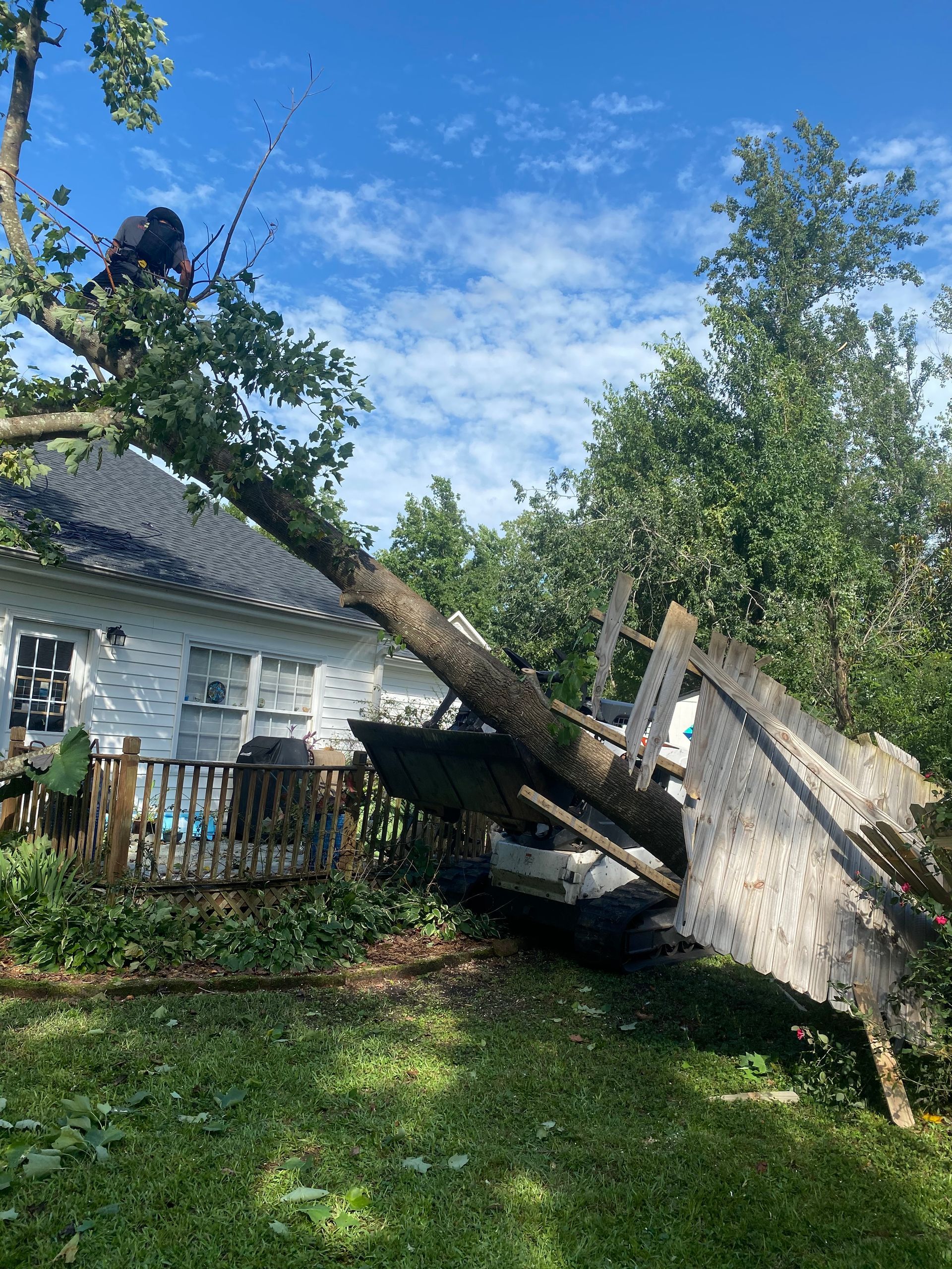 A tree that has fallen on top of a house.
