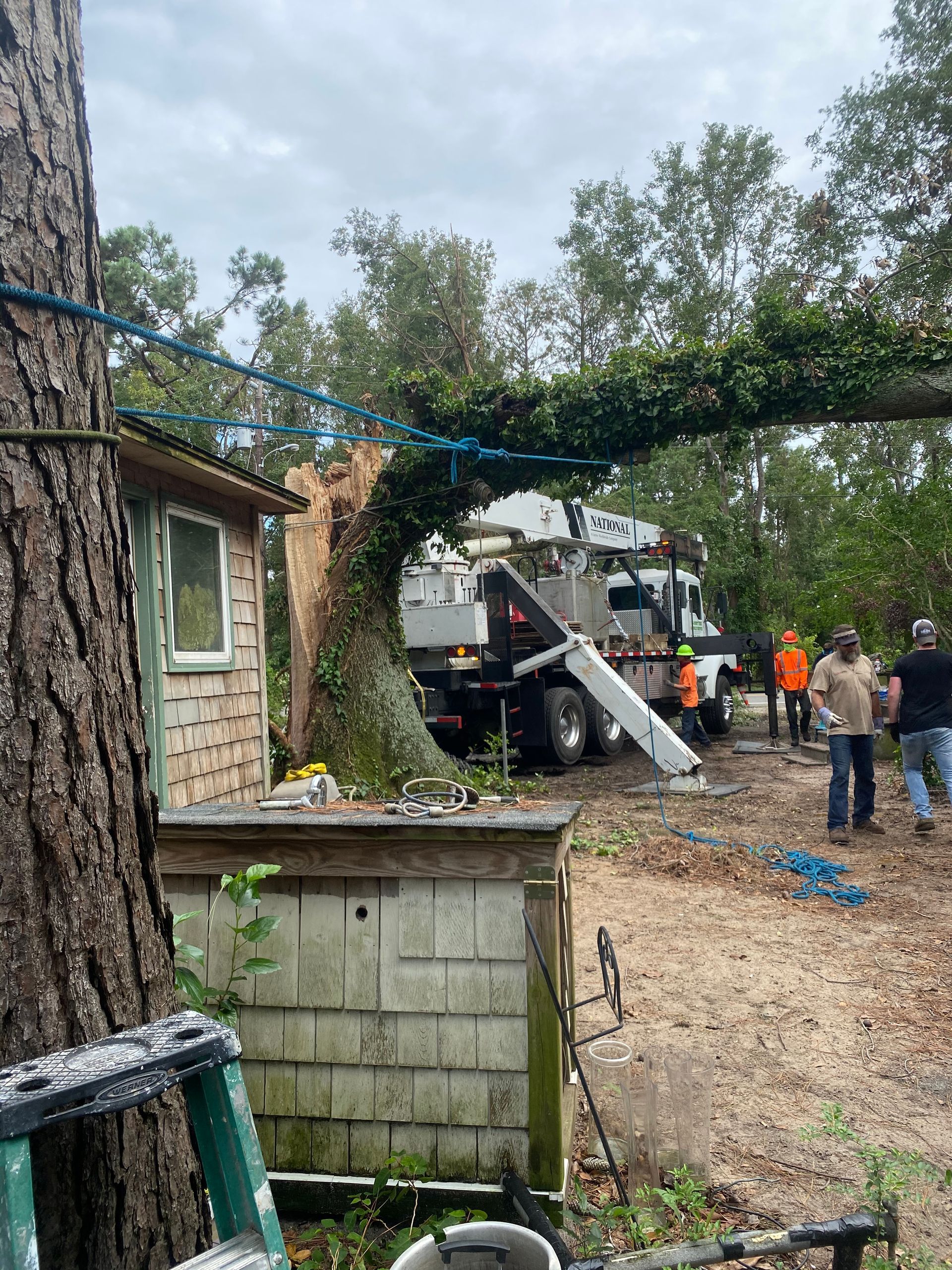 A truck is carrying a tree that has fallen on a house.