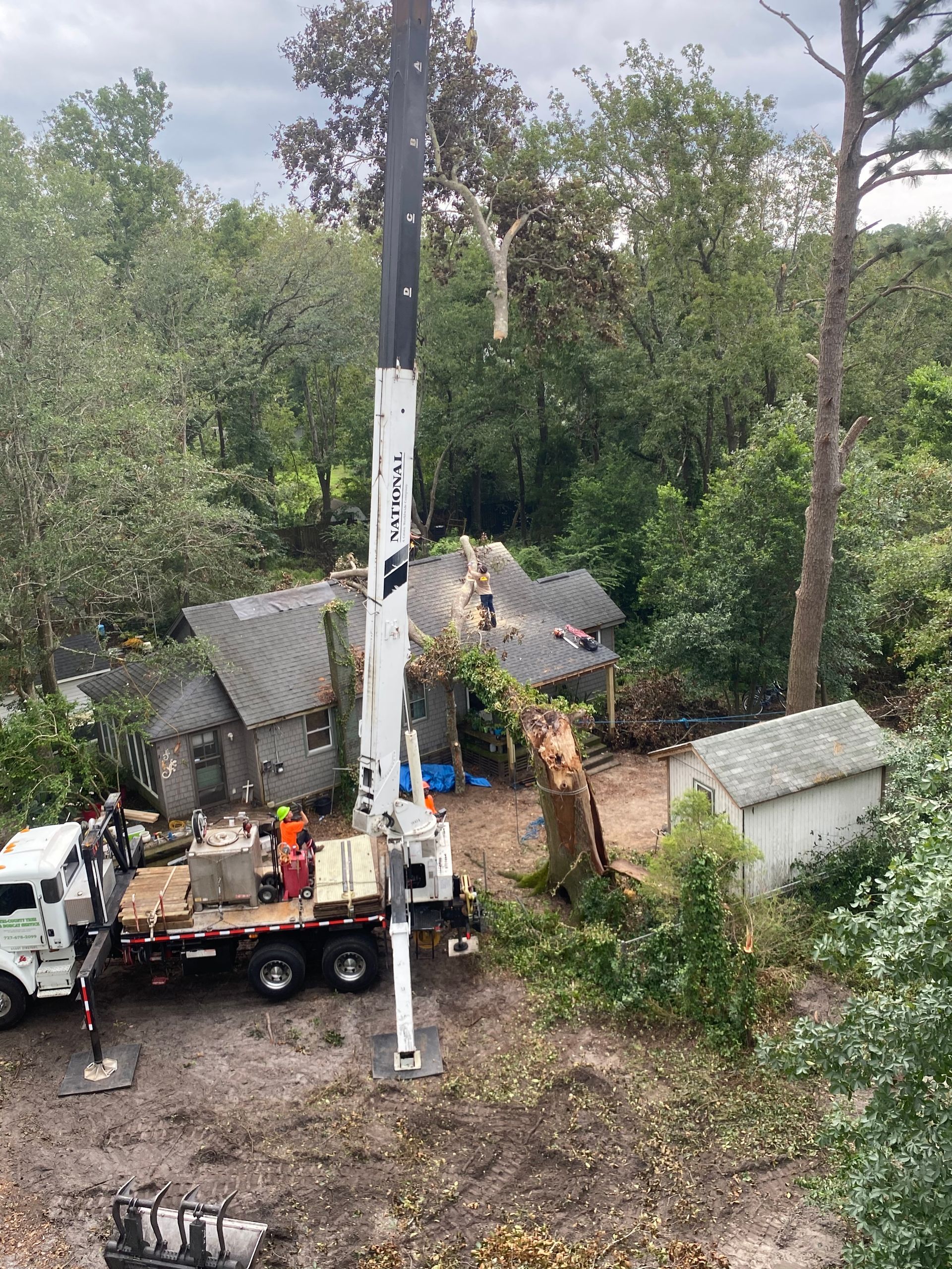 A crane is cutting down a tree in front of a house.
