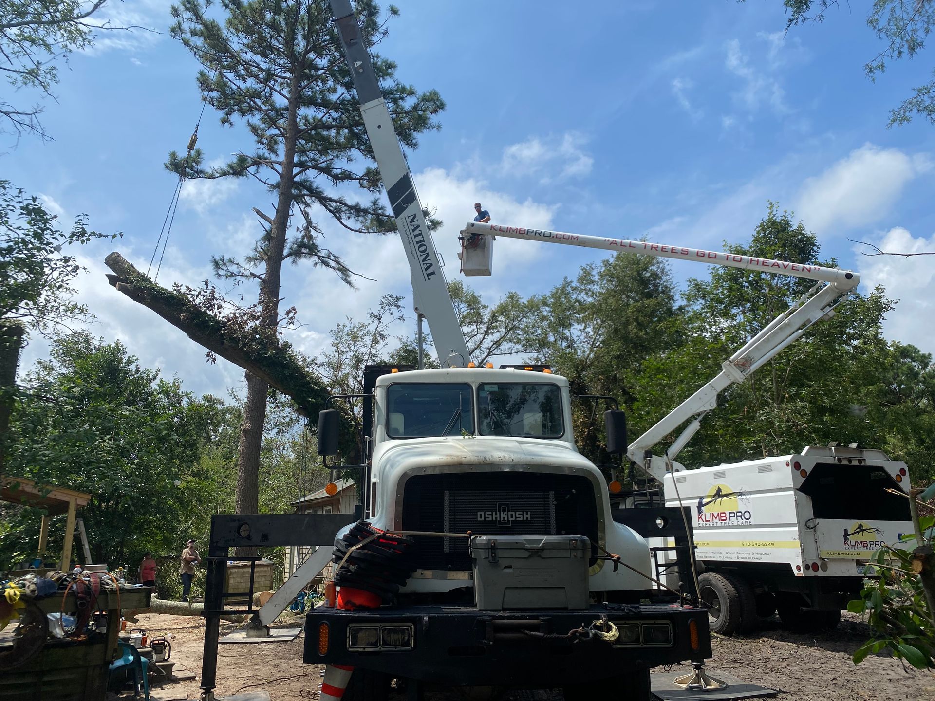 A truck with a crane on top of it is cutting a tree.