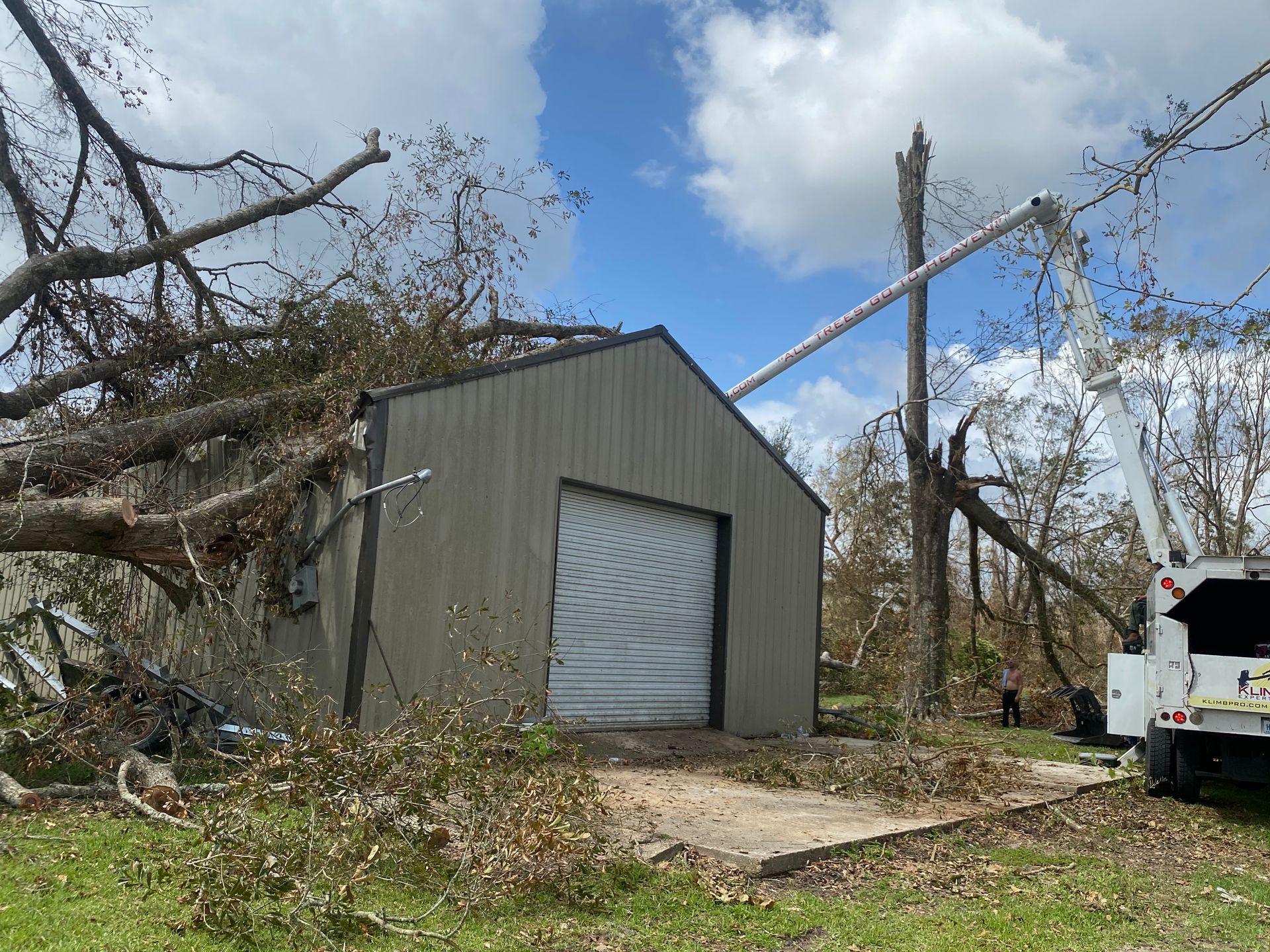 A truck is parked in front of a garage with a tree fallen on it.