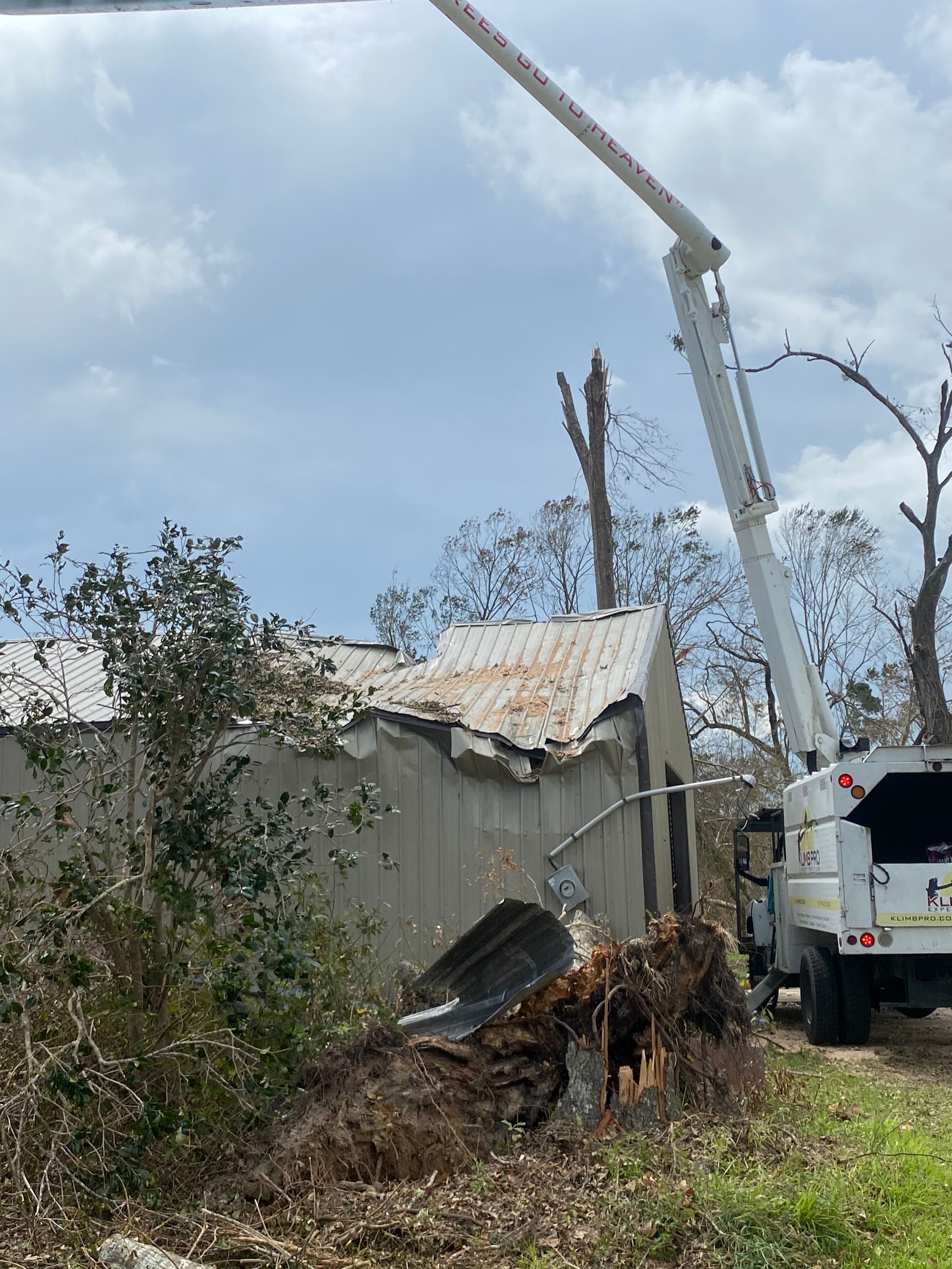 A tree chipper is cutting down a tree in front of a building.