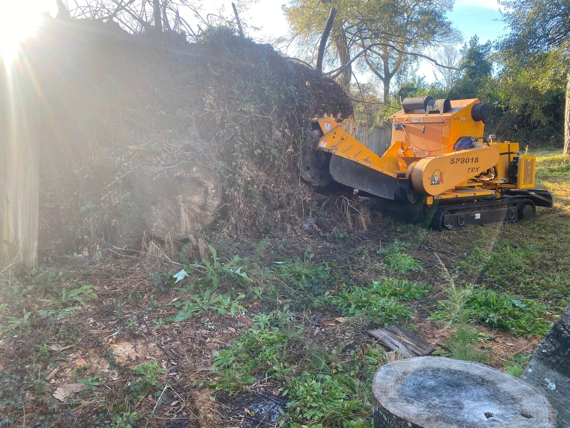 A stump grinder is cutting a tree stump in a yard.