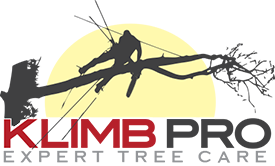 Klimb Pro Expert Tree Care - logo