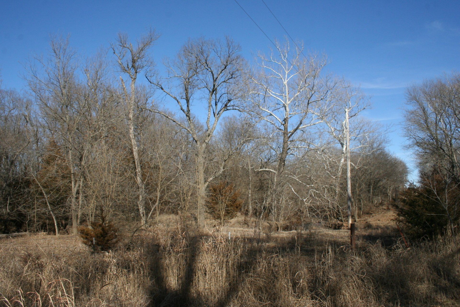 SunGroup Elk County Land Gallery El Dorado, KS