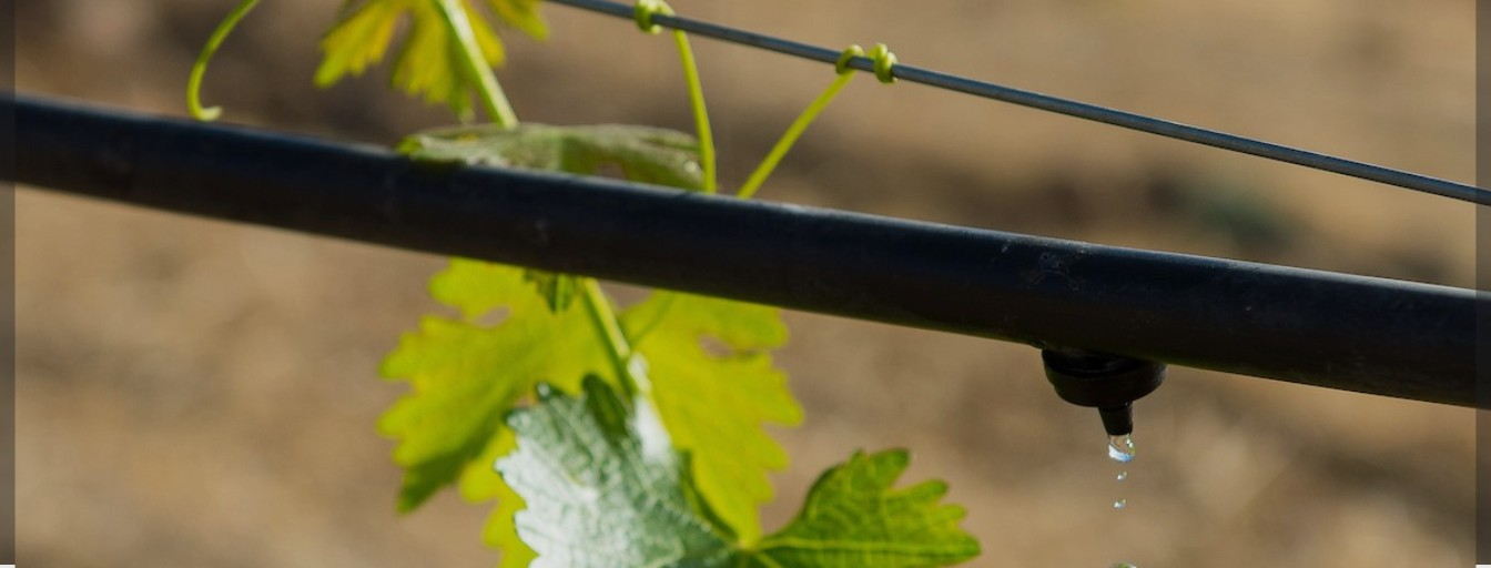 Overhead view of a circular field being irrigated by a long sprinkler arm, creating arcs in the green crops.