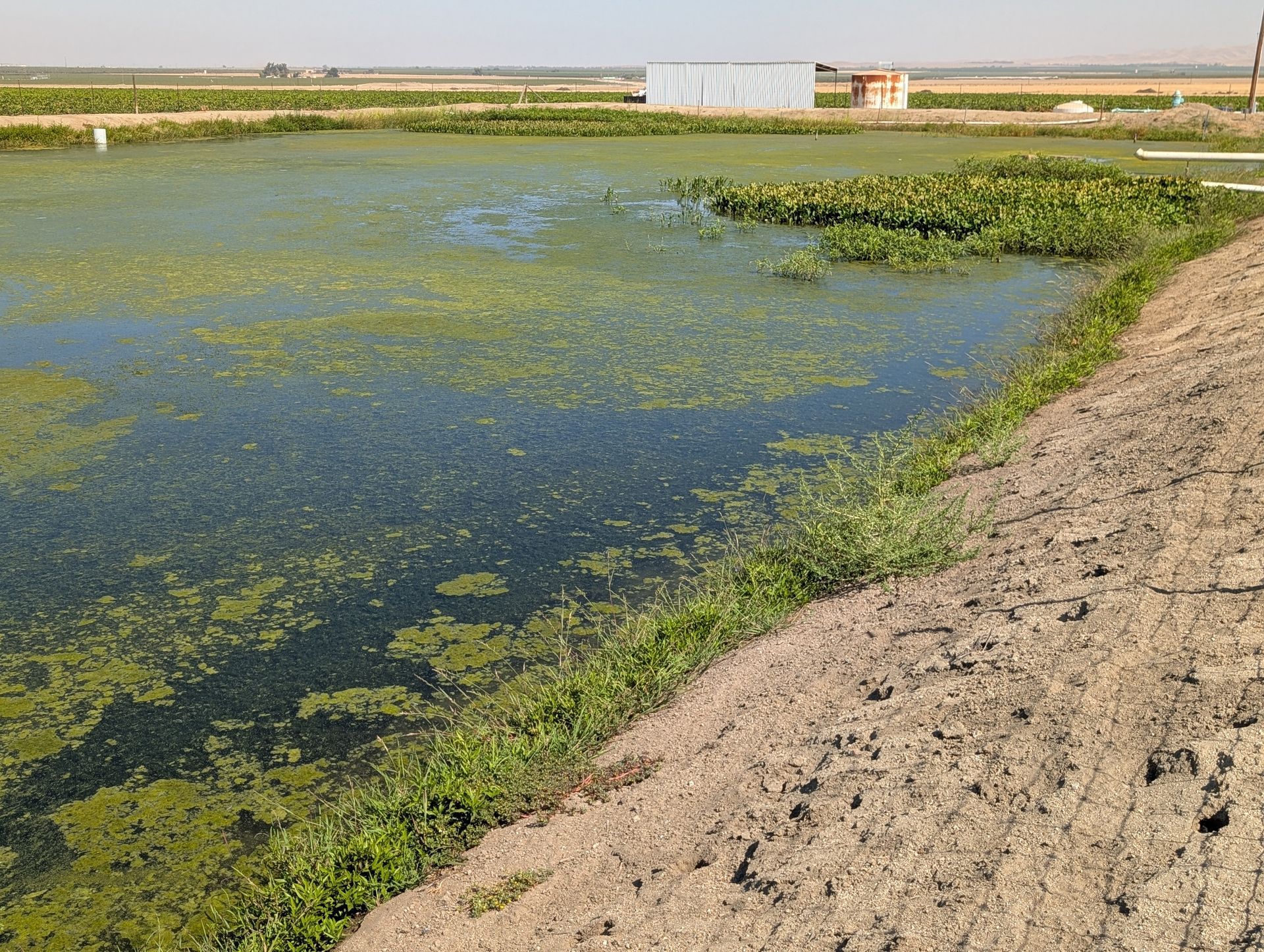Overhead view of a circular field being irrigated by a long sprinkler arm, creating arcs in the green crops.