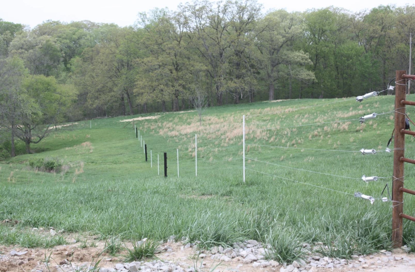 A fence surrounds a grassy field with trees in the background.