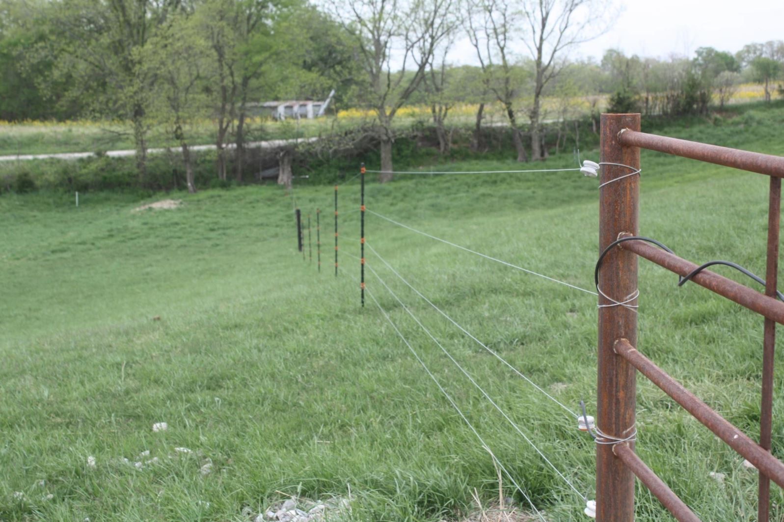 A fence surrounds a grassy field with trees in the background.