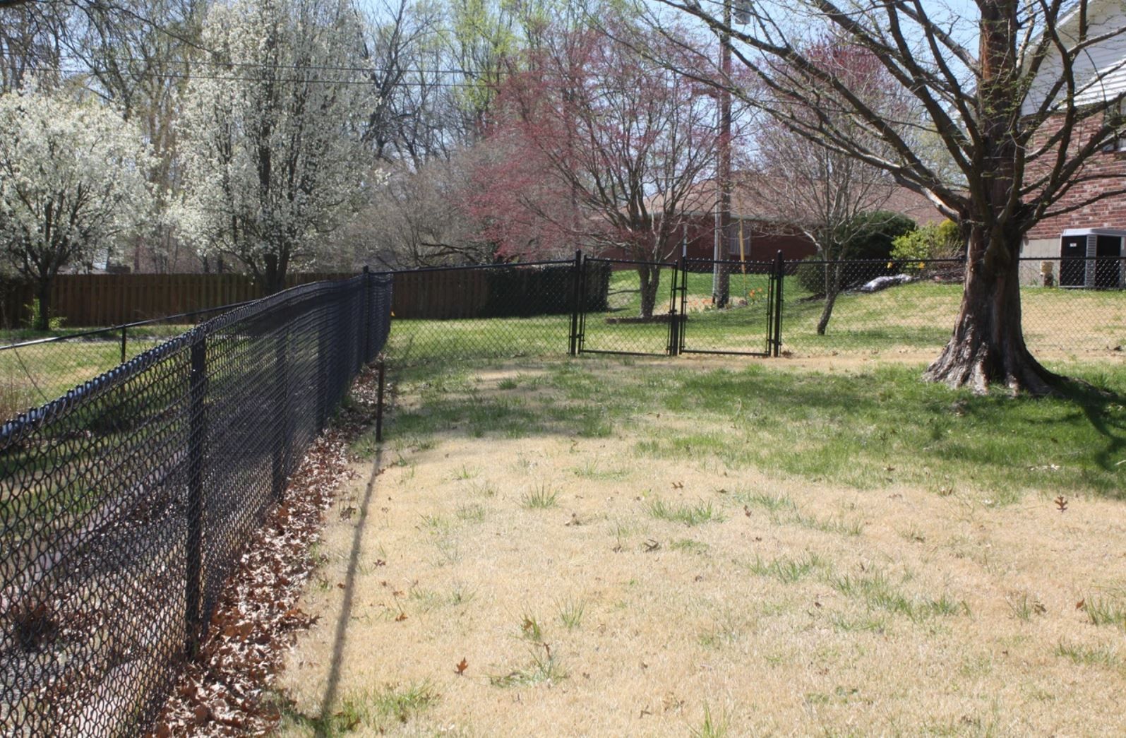 A chain link fence surrounds a grassy yard with trees in the background.