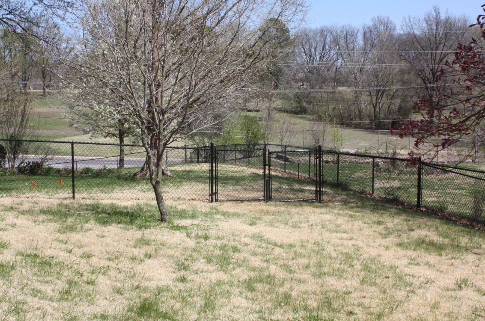 A fence surrounds a grassy field with trees in the background.