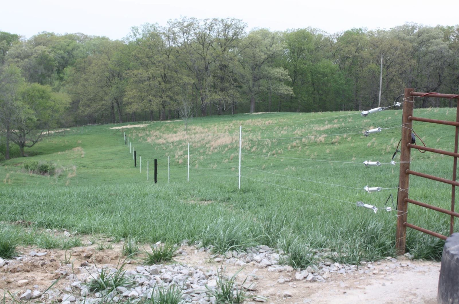 A field with a fence and trees in the background