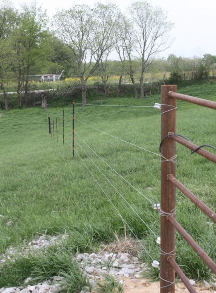 A fence in a grassy field with trees in the background