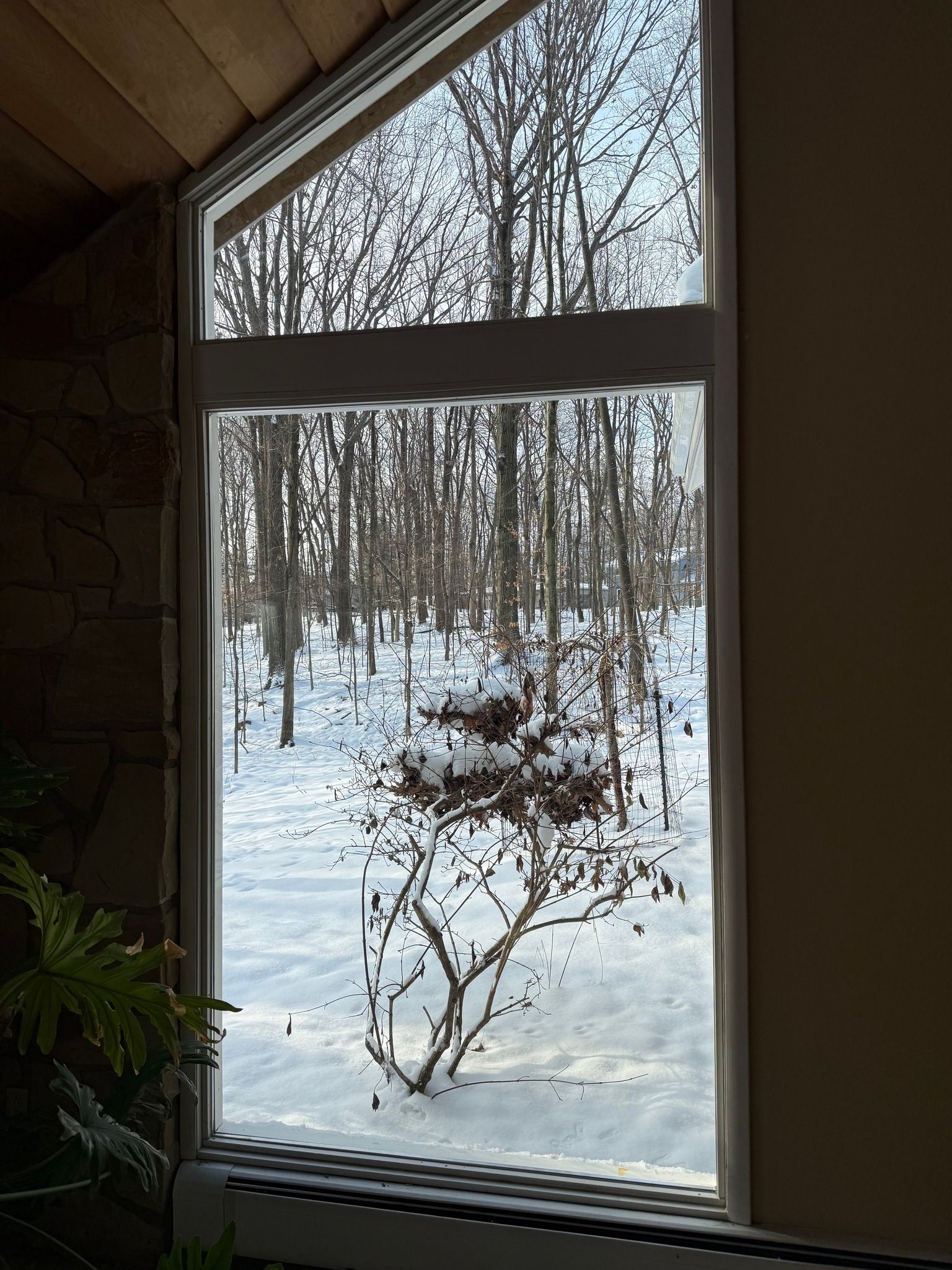 A window with a view of a snowy forest through it.