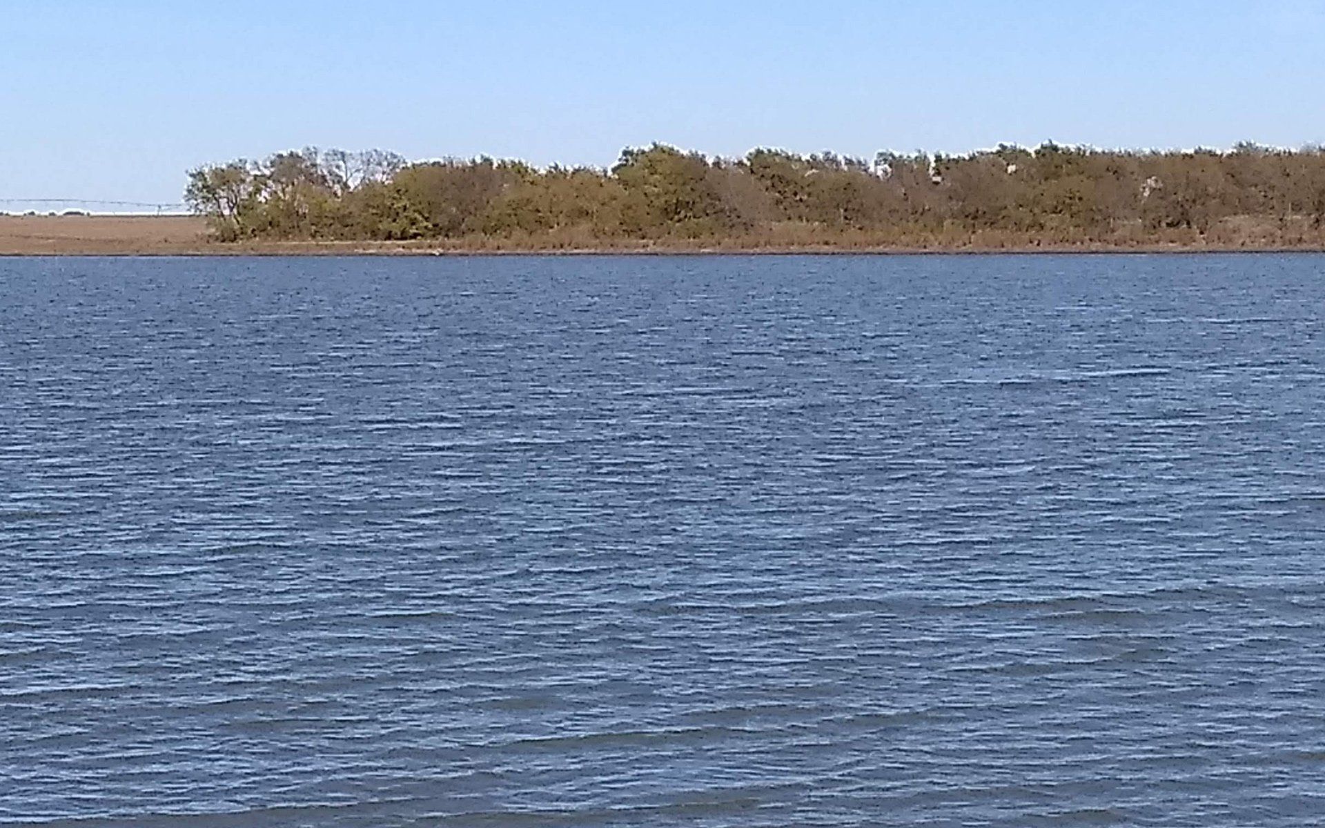 a large body of water with trees in the background