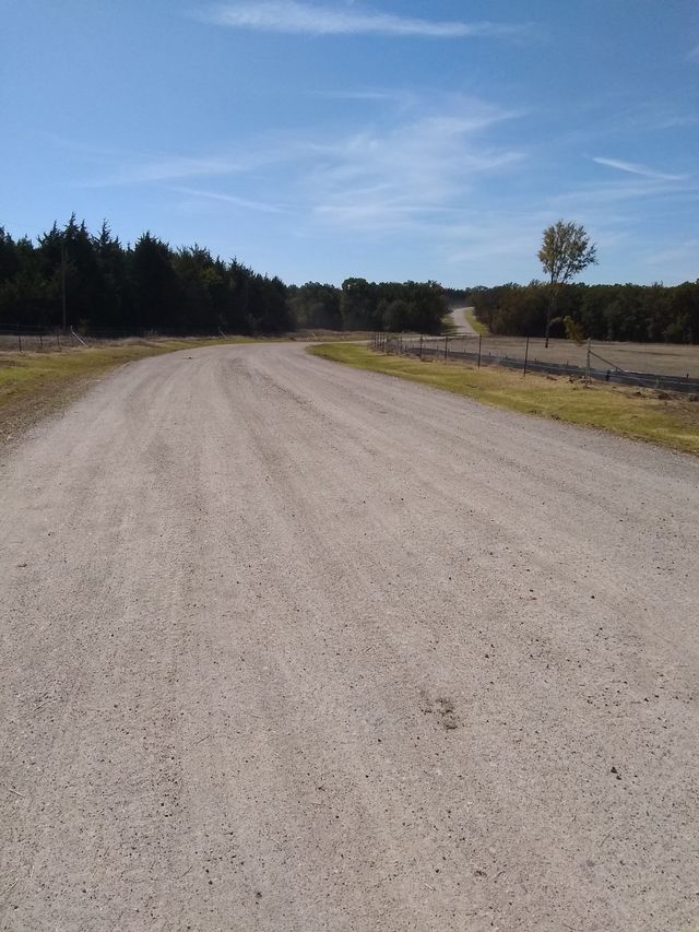 a dirt road with trees on the side of it