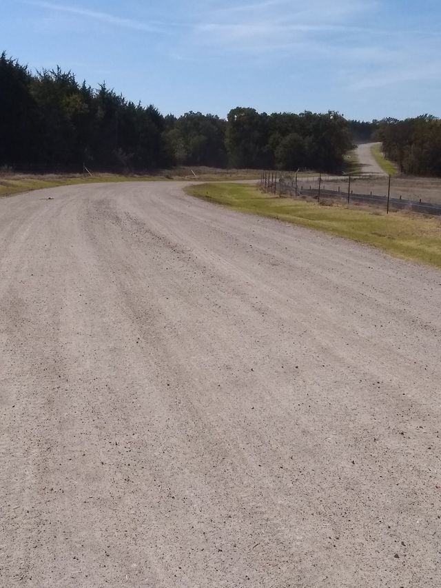 a dirt road with trees on the side of it
