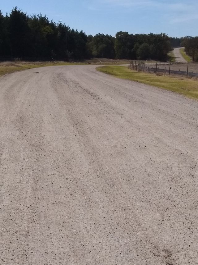 a dirt road with trees in the background on a sunny day