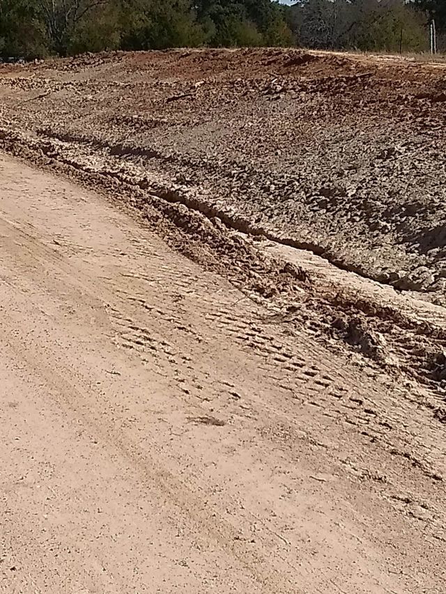 a dirt road going through a field with trees in the background .