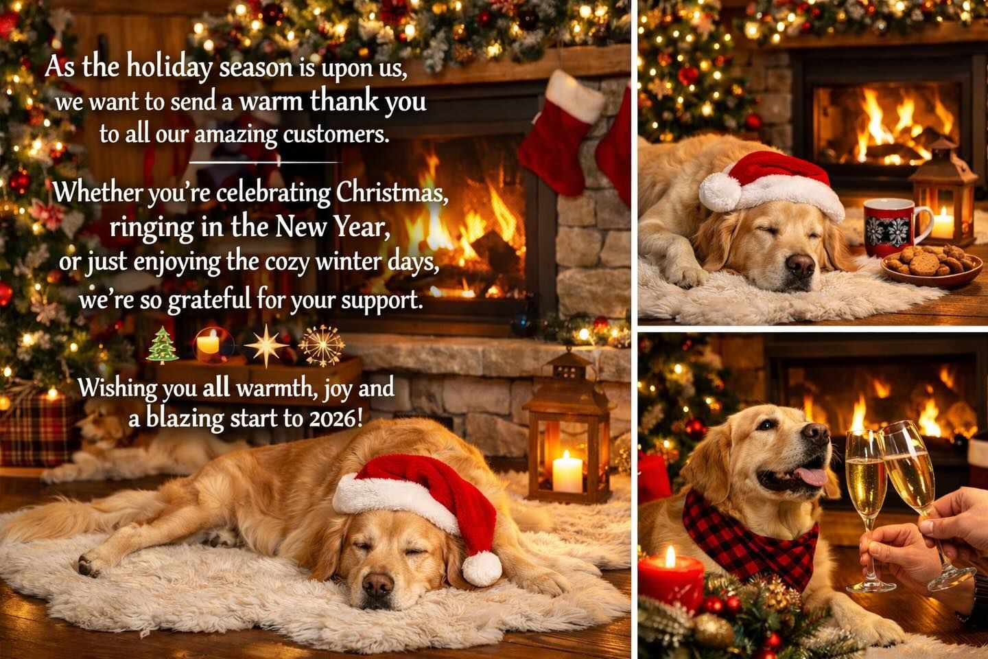Holiday greeting card with two dogs in Santa hats by a fireplace, with Christmas message text.