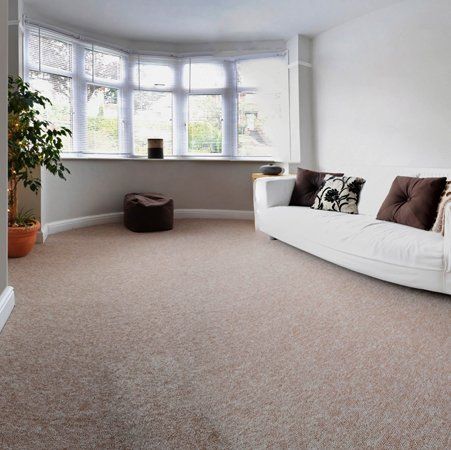 Clean carpet and sofa