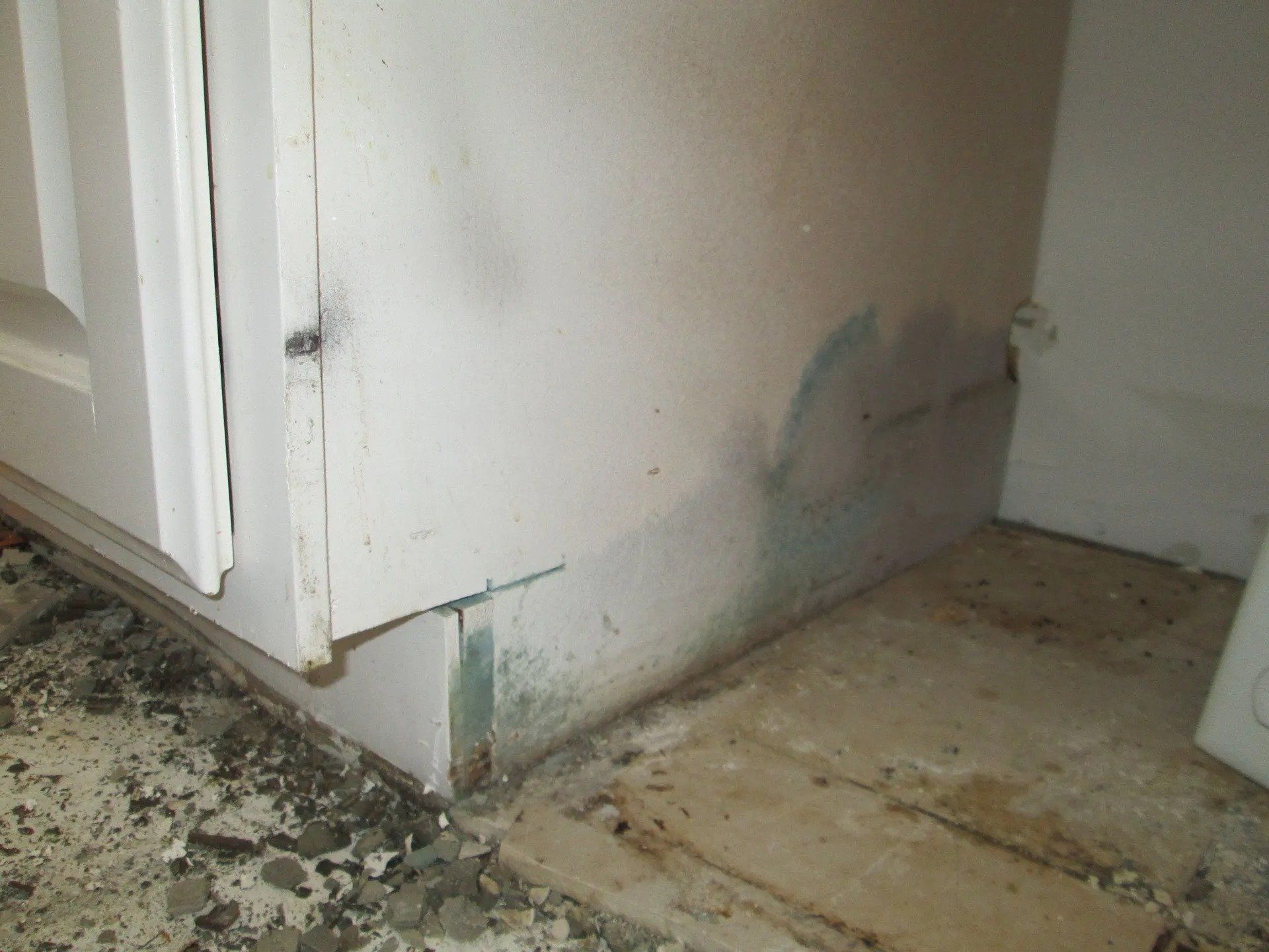 Mold infested wall