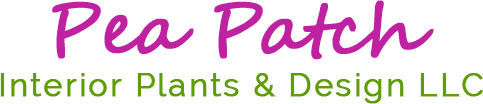 Pea Patch Interior Plants & Design LLC - logo
