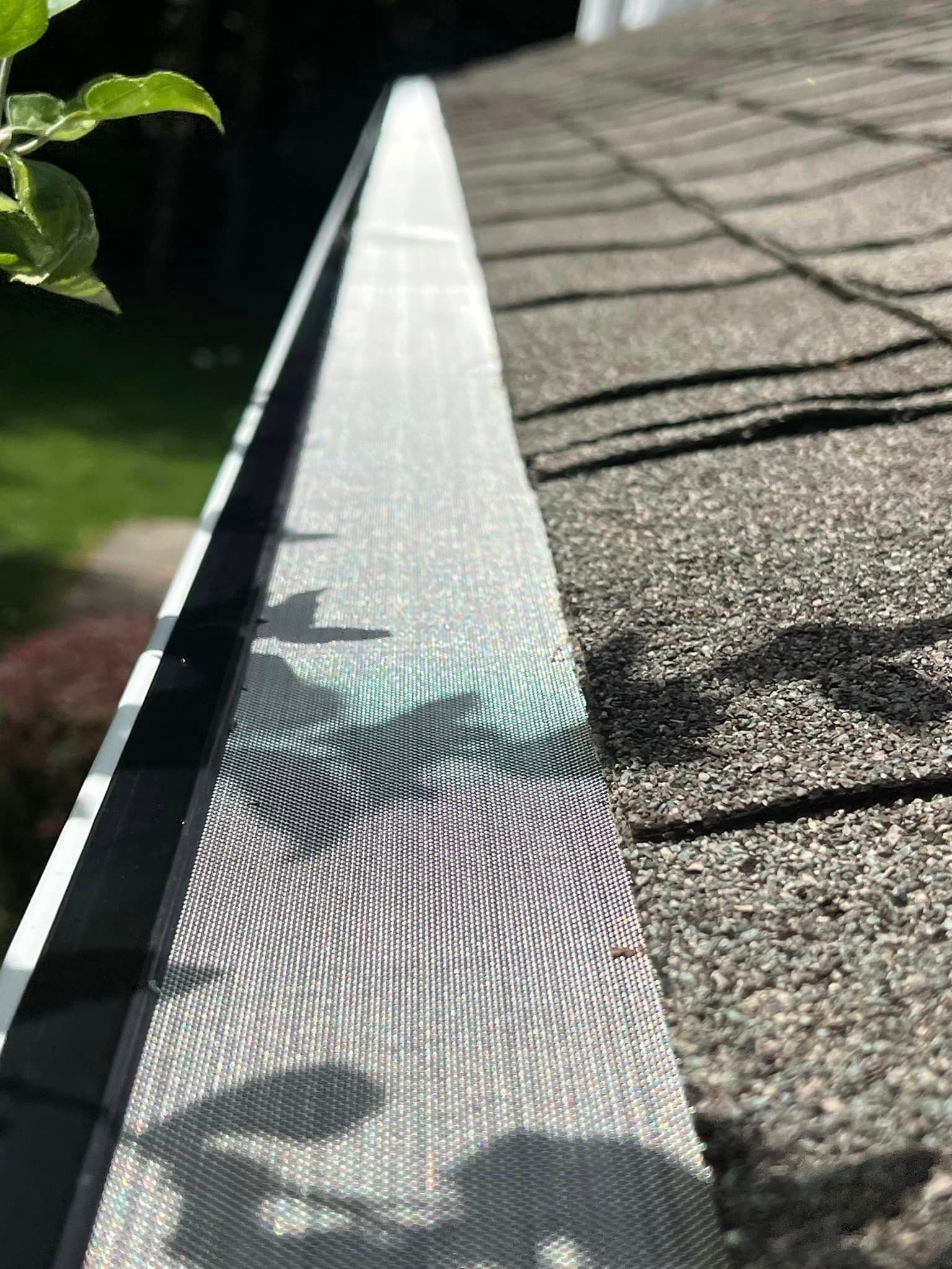 A close up of a gutter on a roof with a tree in the background