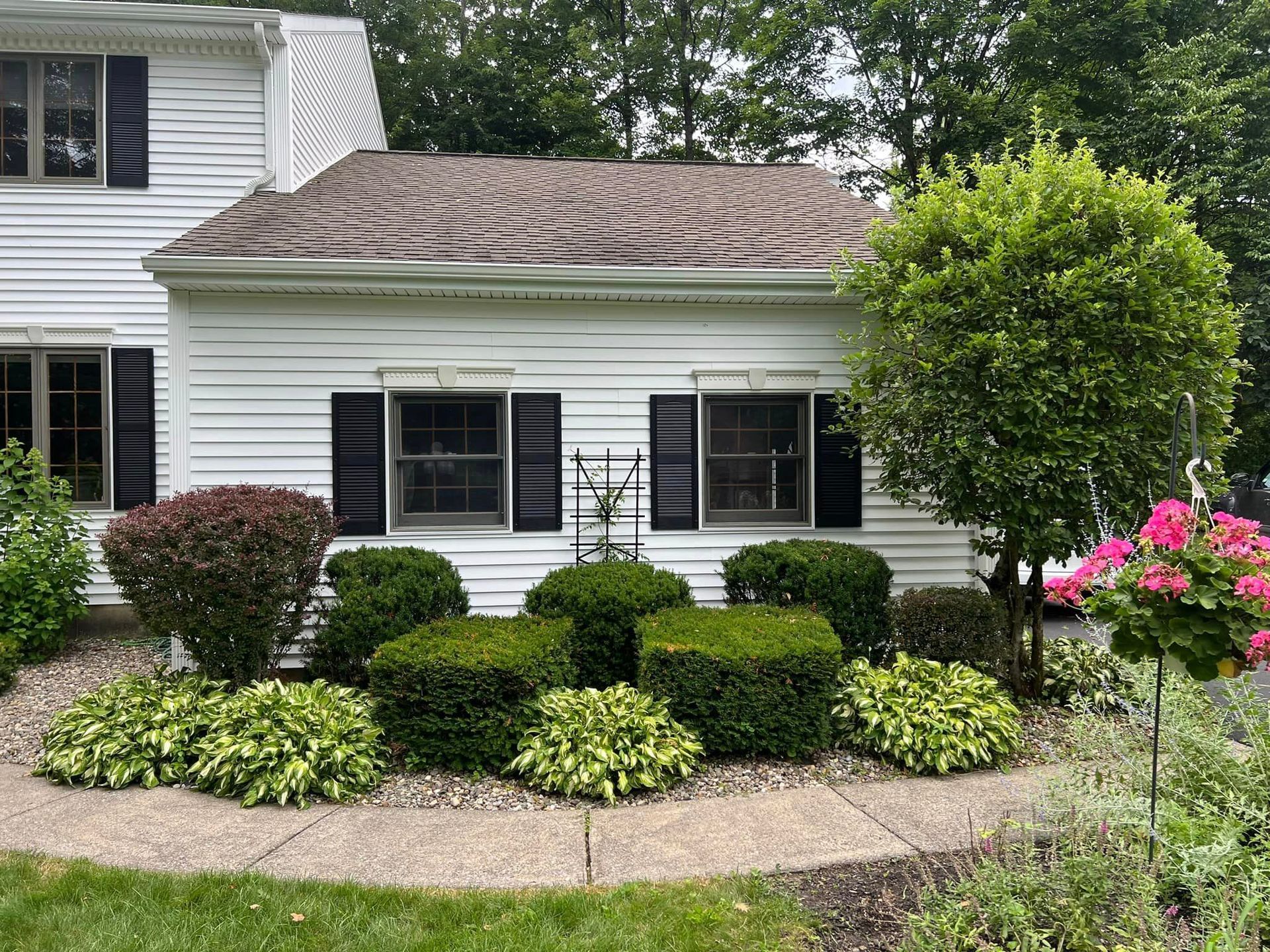 A white house with black shutters and bushes in front of it