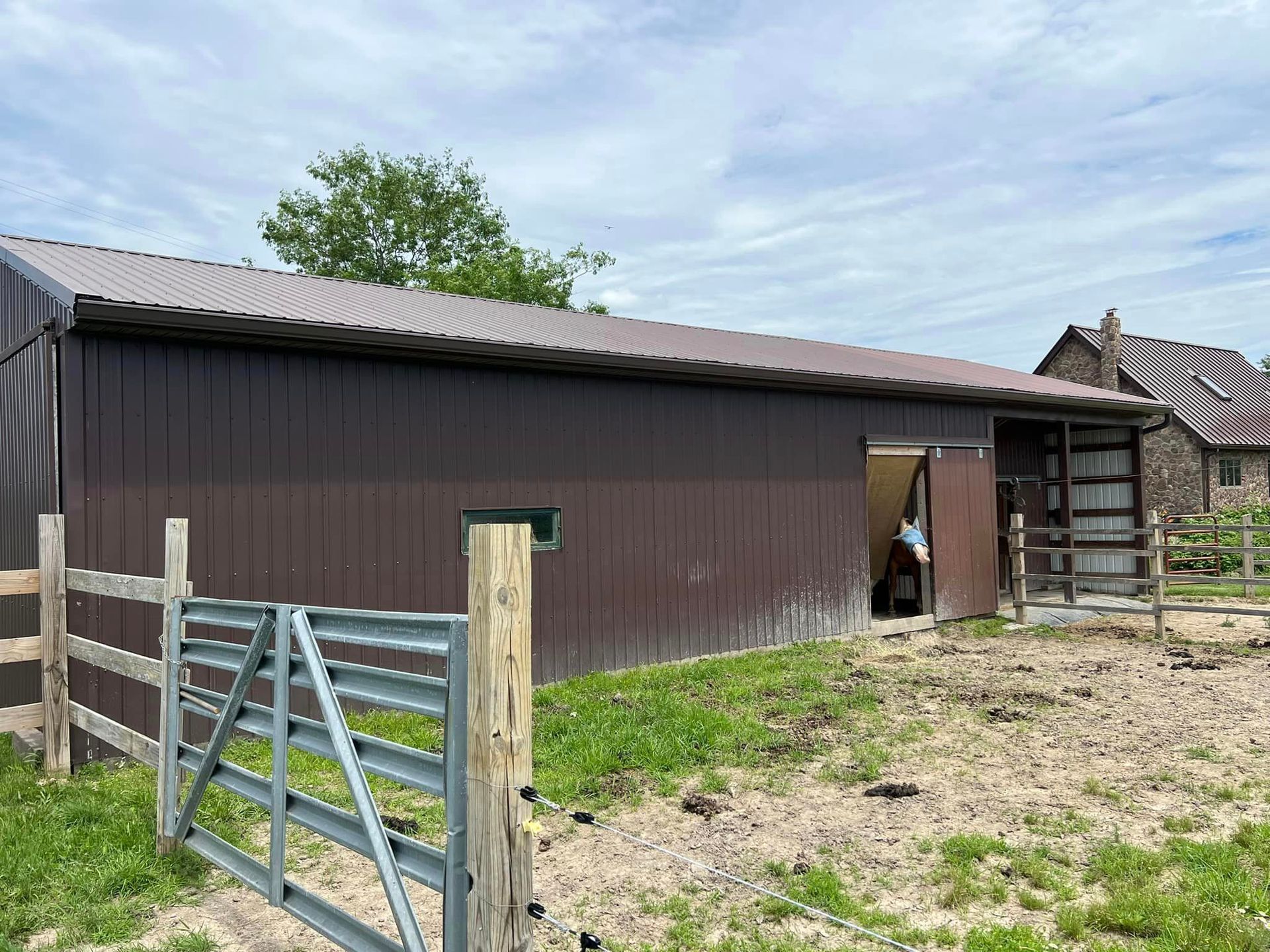 A horse is standing in the doorway of a barn
