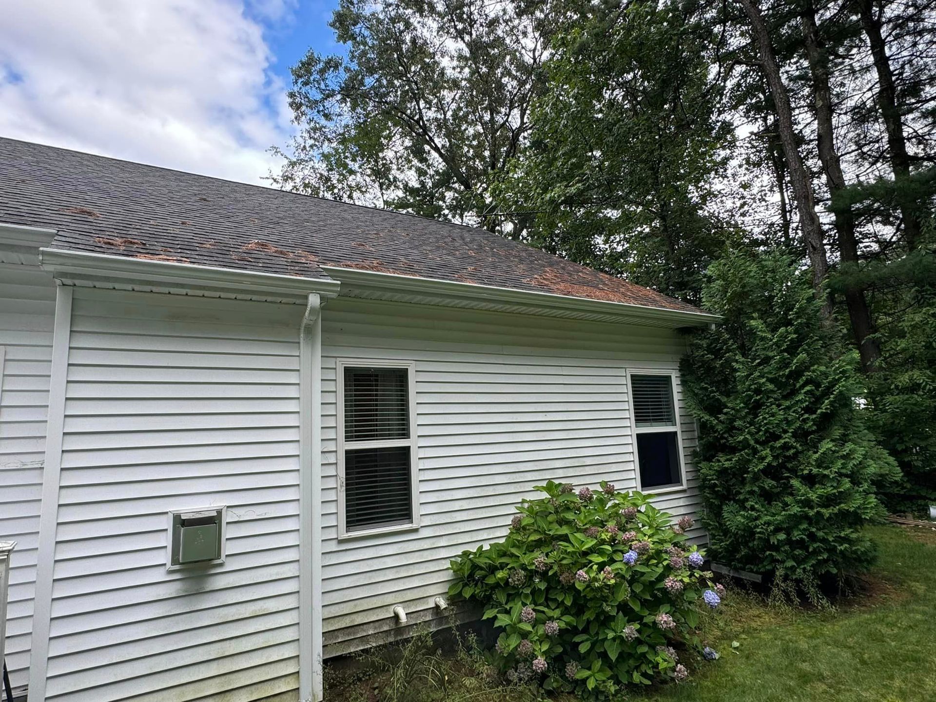 A white house with a roof and a bush in front of it