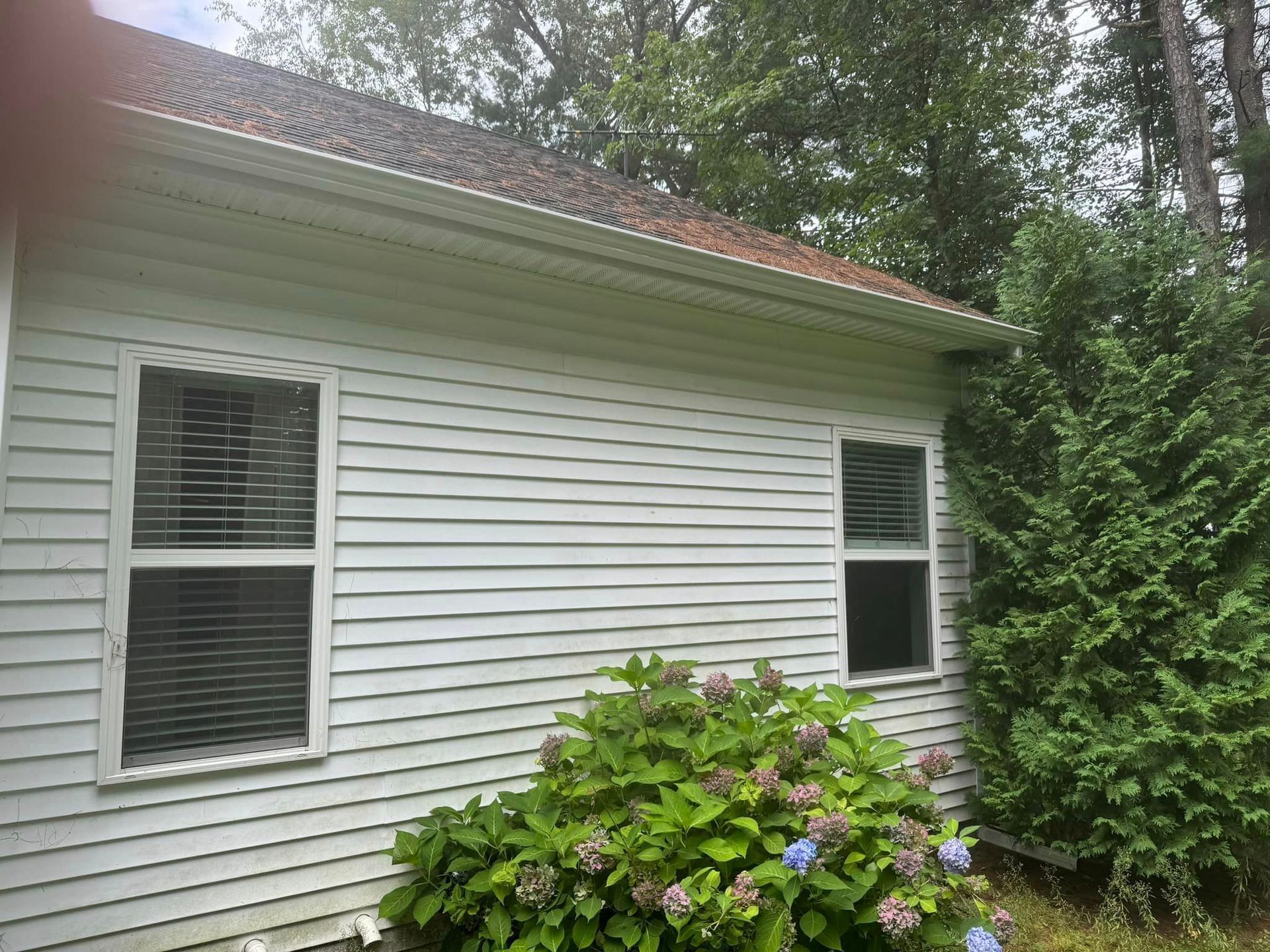 A white house with a bush in front of it