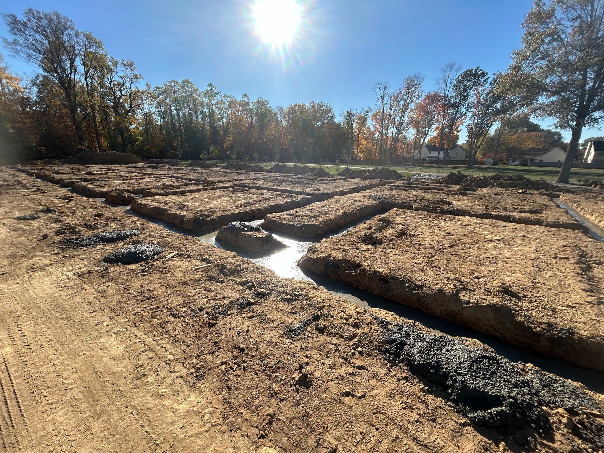 A dirt road going through a field with trees in the background.