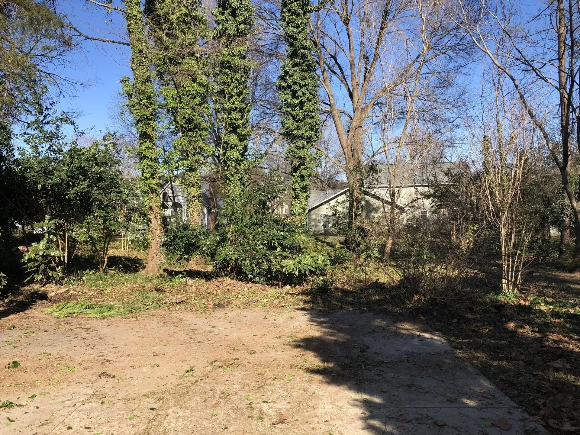 K & K Lawn Service Inc. recent project