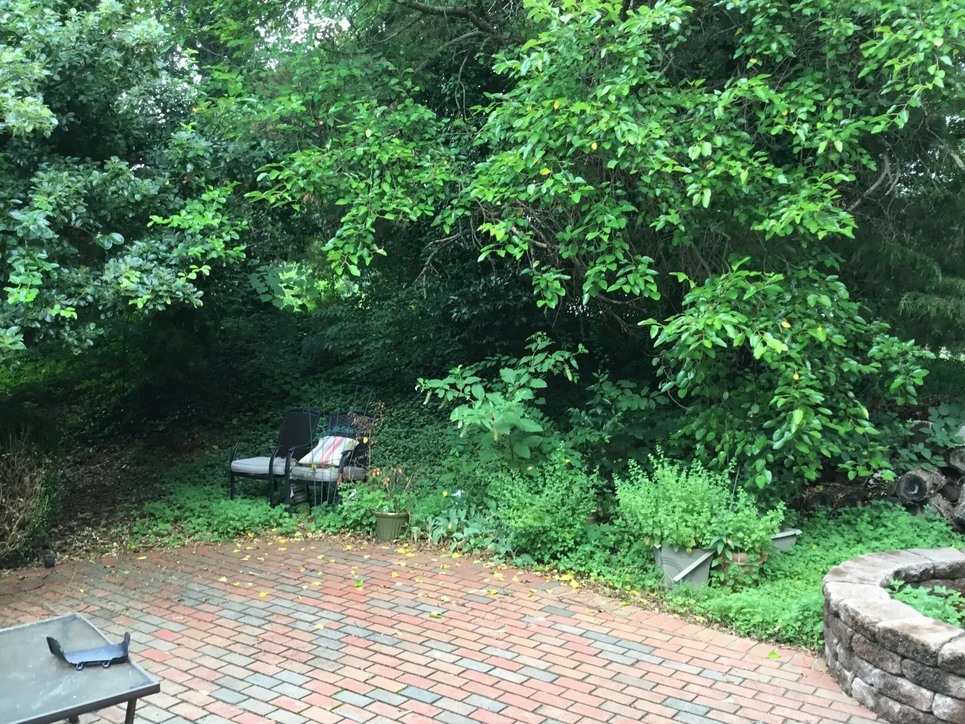 K & K Lawn Service Inc. recent project