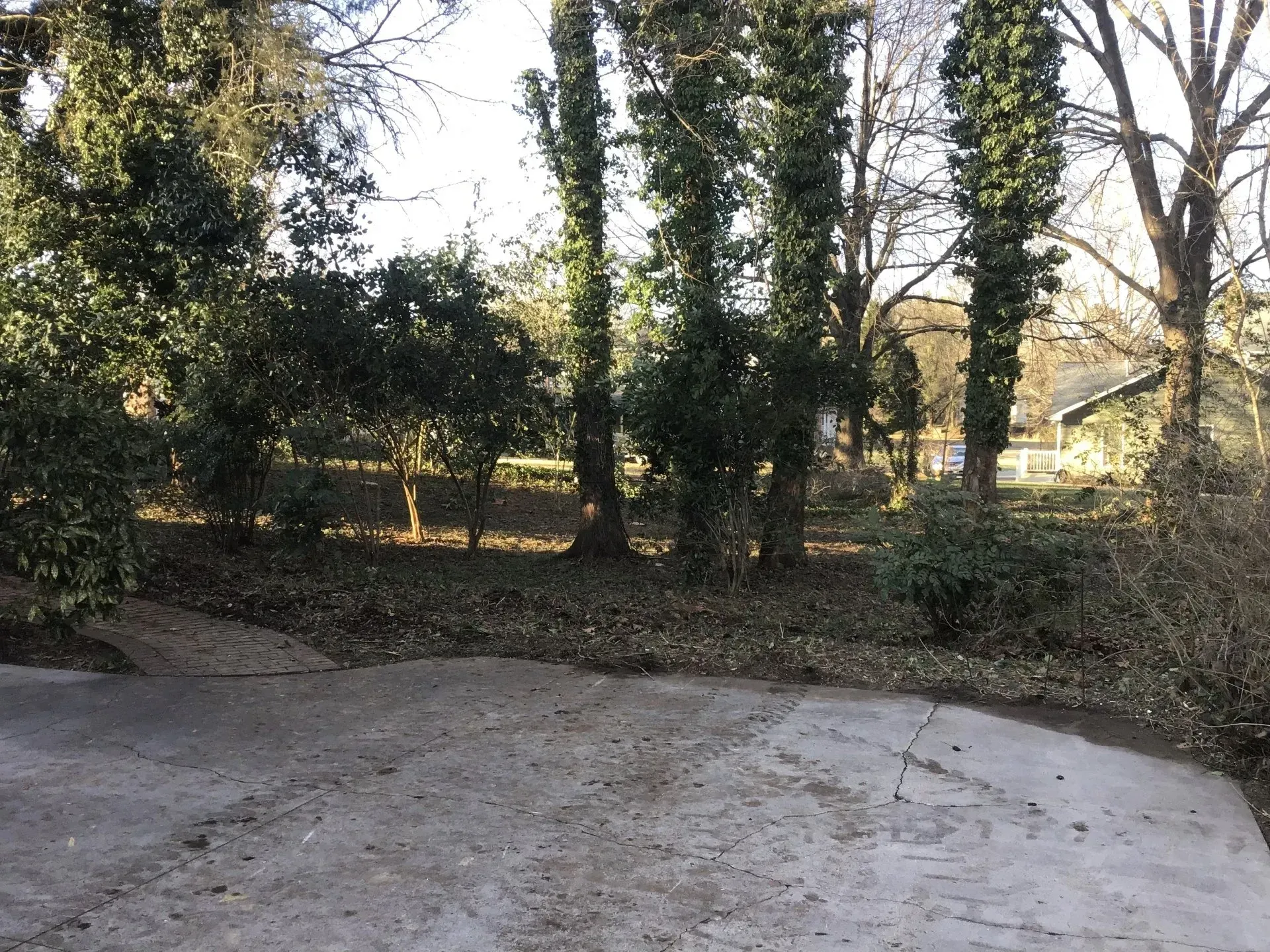 K & K Lawn Service Inc. recent project