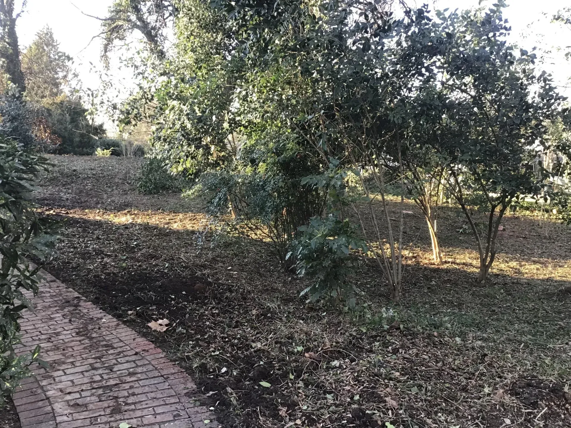 K & K Lawn Service Inc. recent project