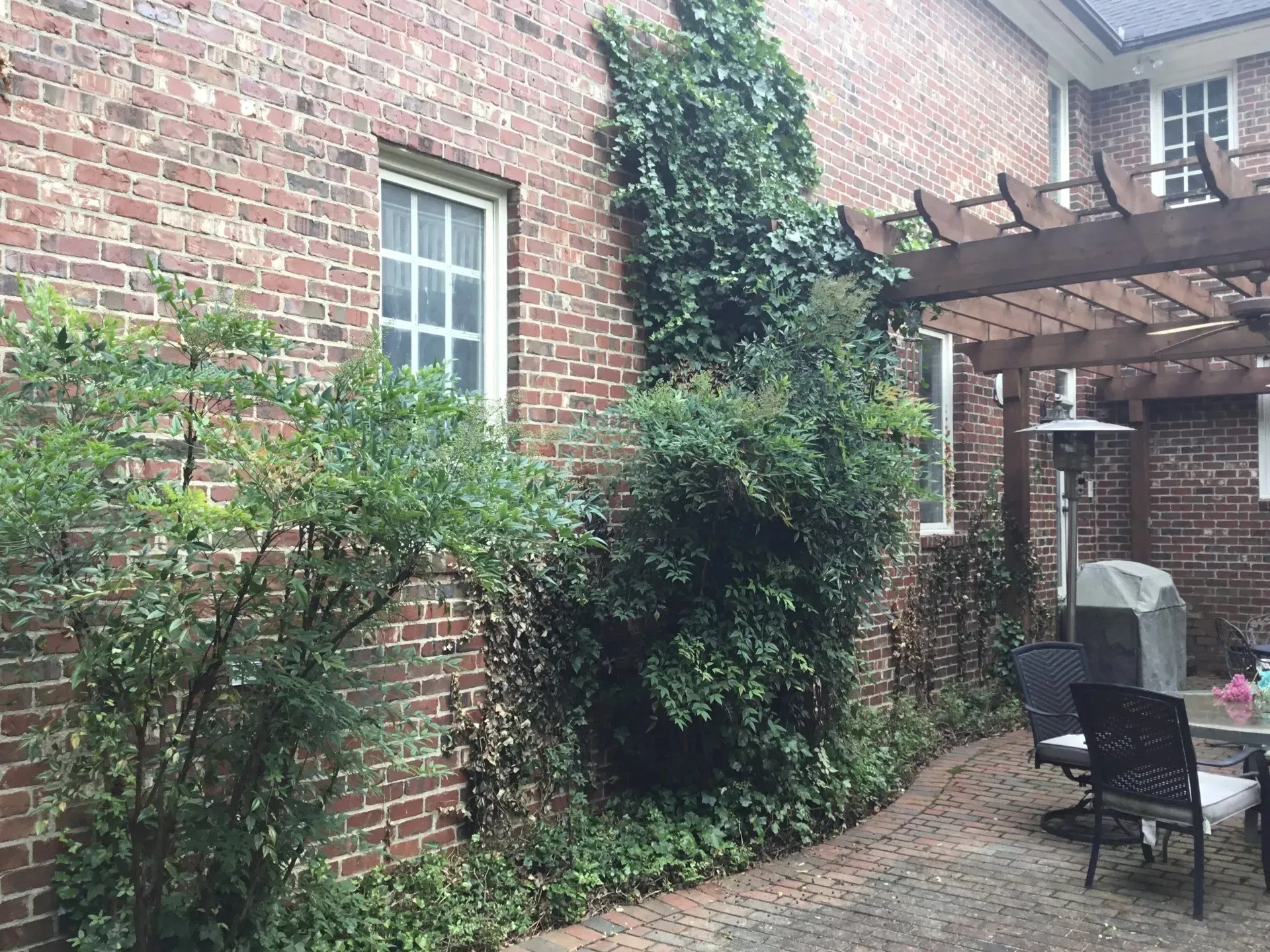 K & K Lawn Service Inc. recent project